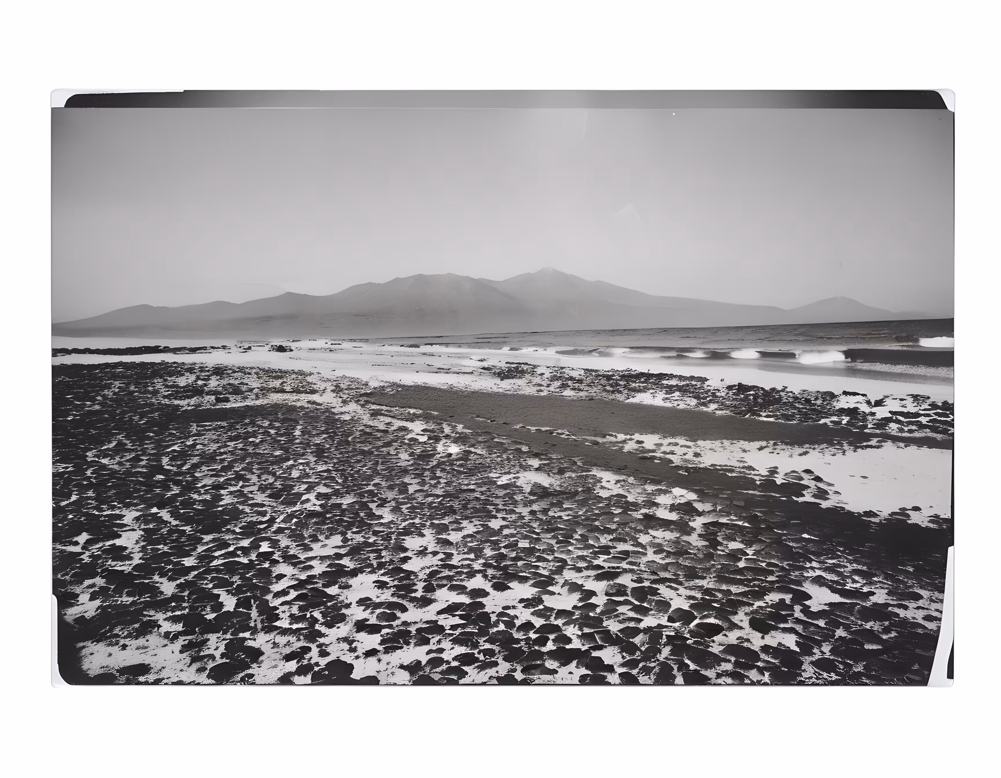 SYNTHETIC PHOTOGRAPHY RAW #4