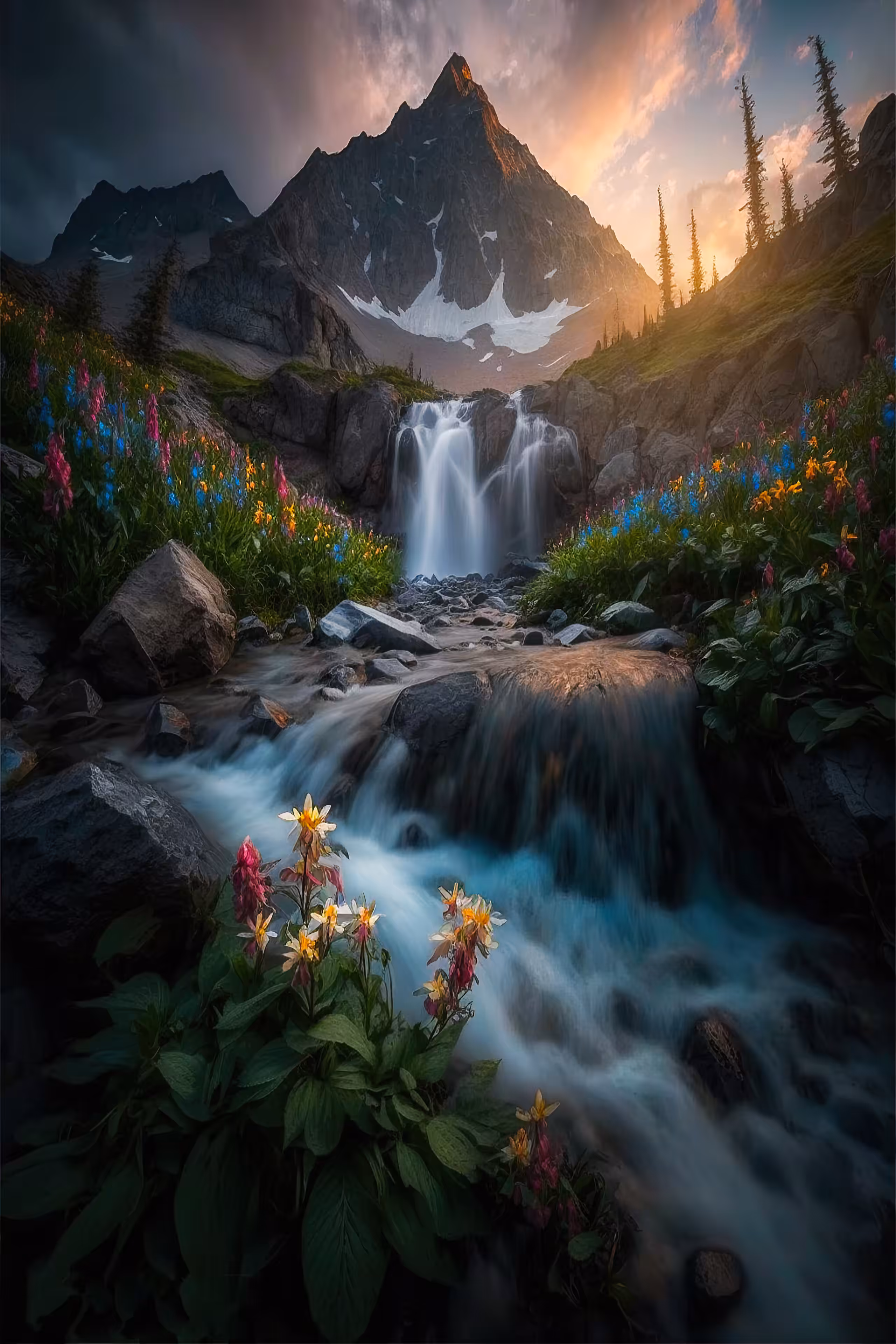 Garden Of Dreams