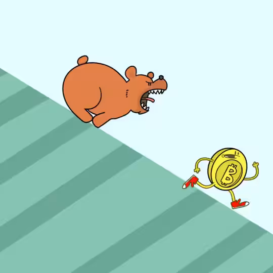 16. Bear vs. Bull Bitcoin