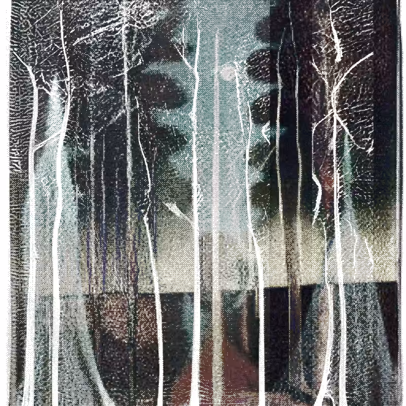 The Hum of Cyber Forest #165