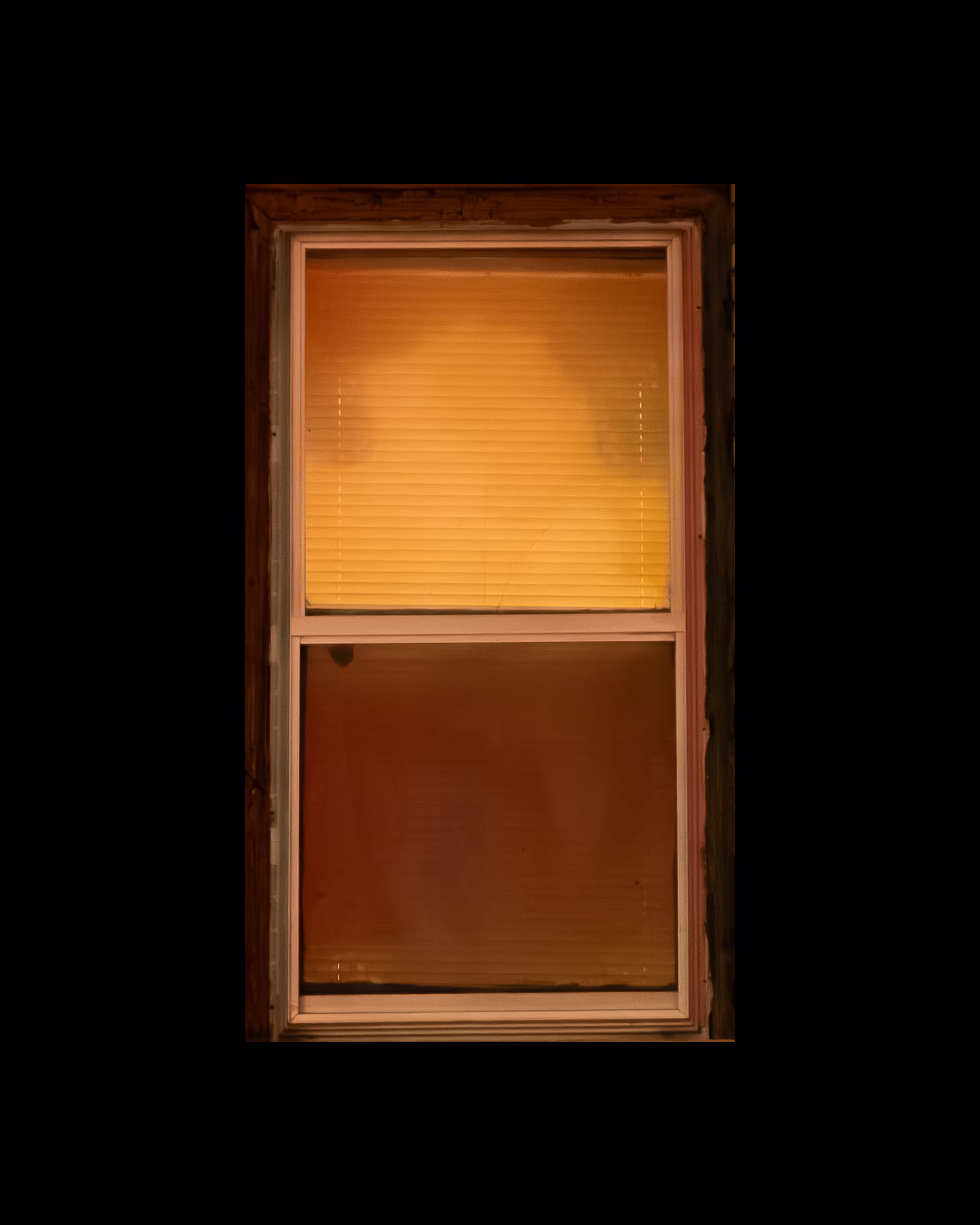 WINDOW 565