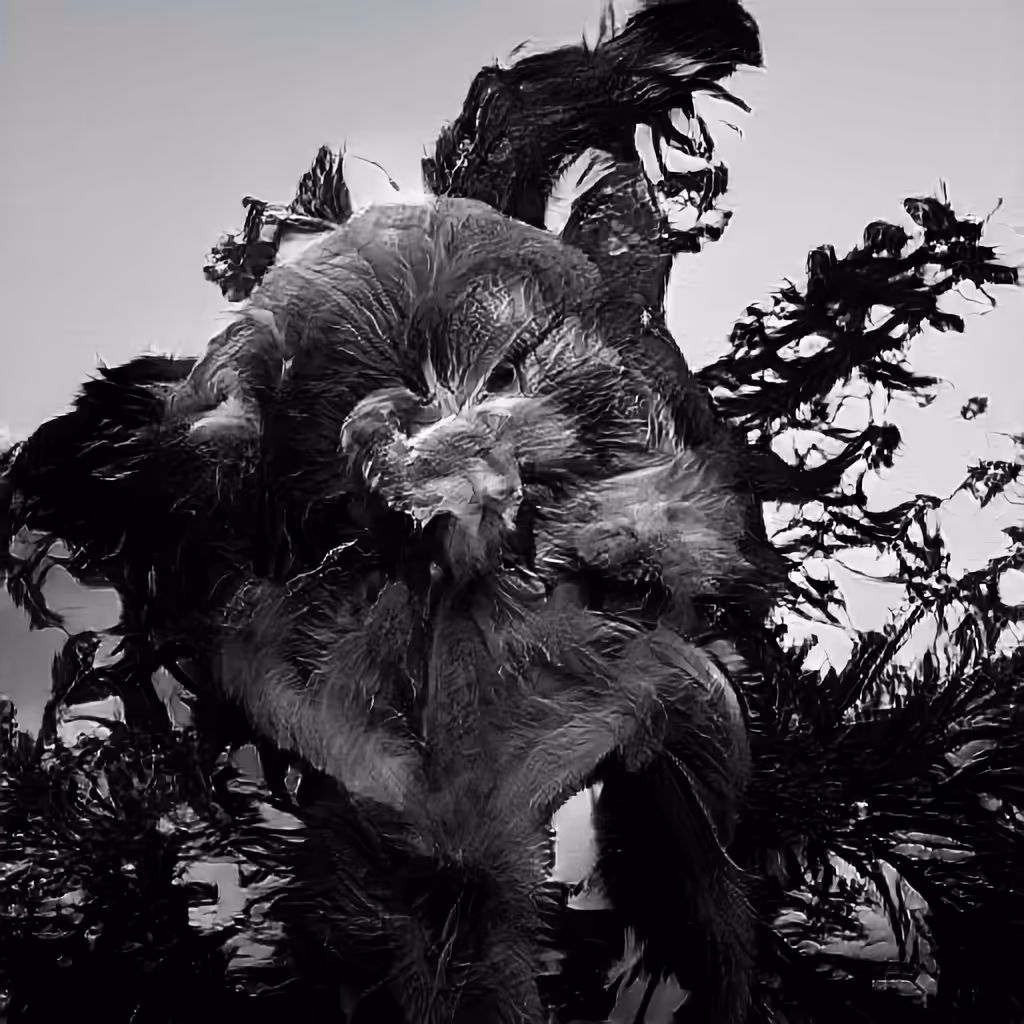 The Non-Human Artwork Project #158