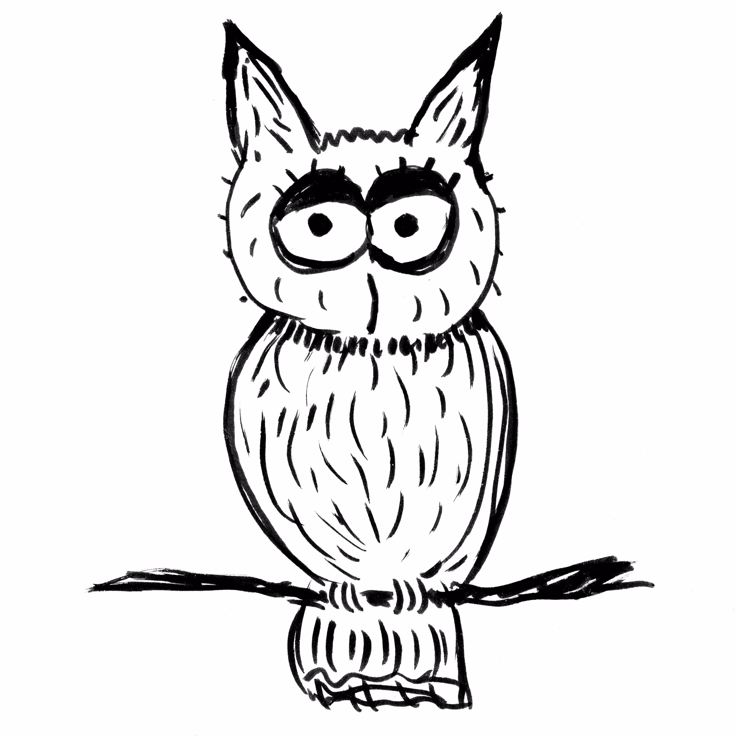 Baby Owl
