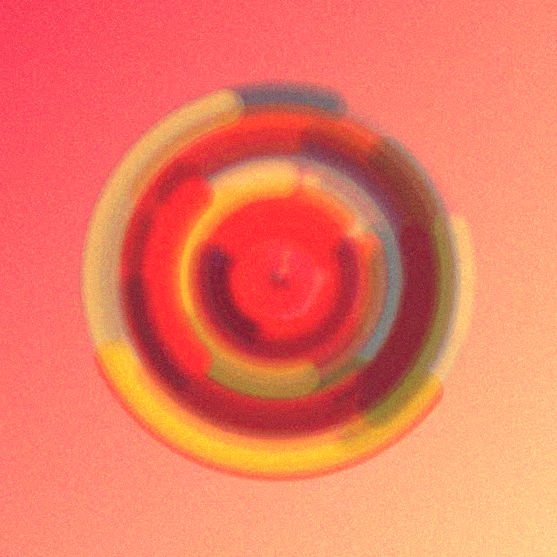 Wisp #903