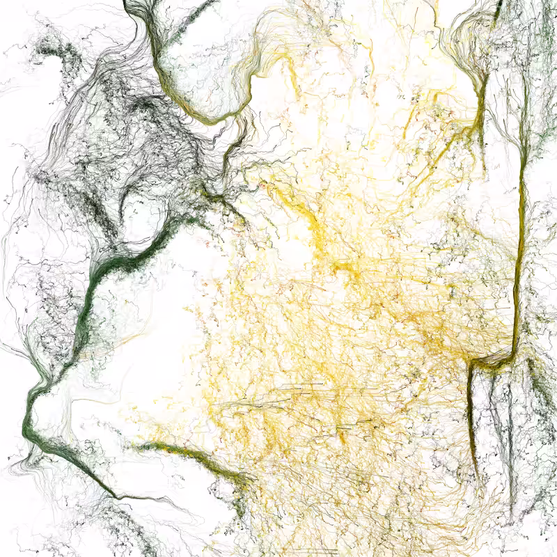 Hypericum #176