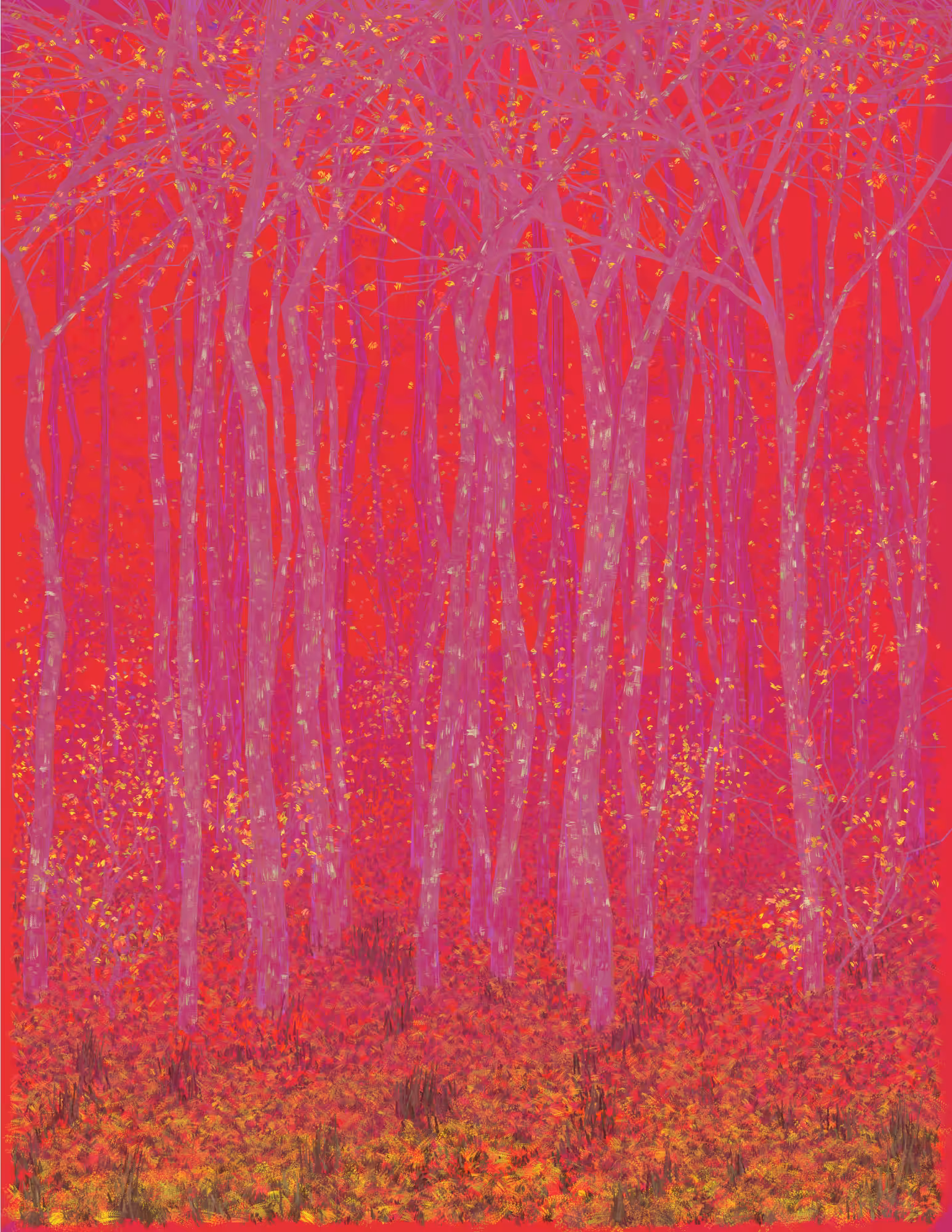 Deep Forest #58