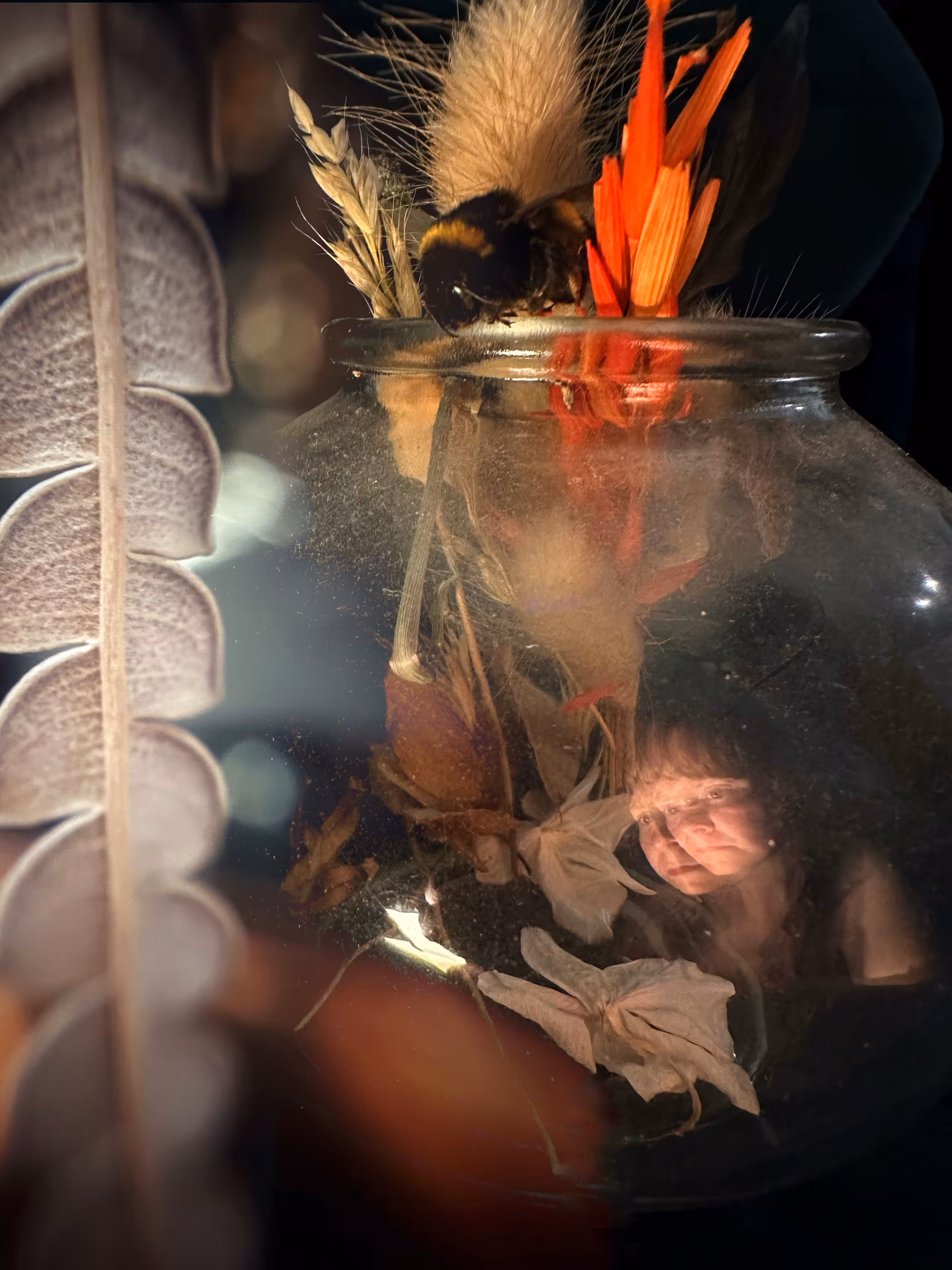 Through the Looking Glass