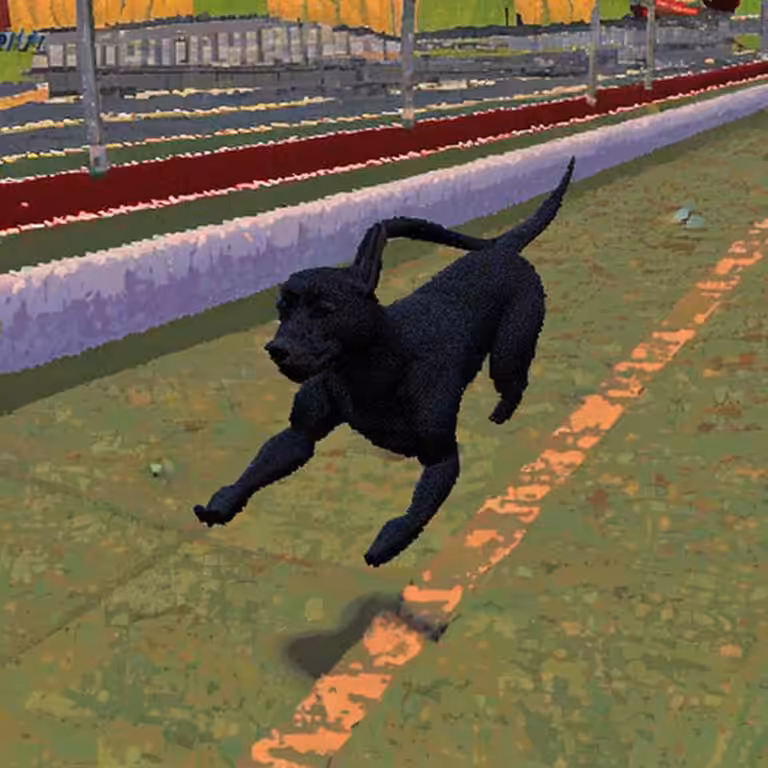 Dog Play