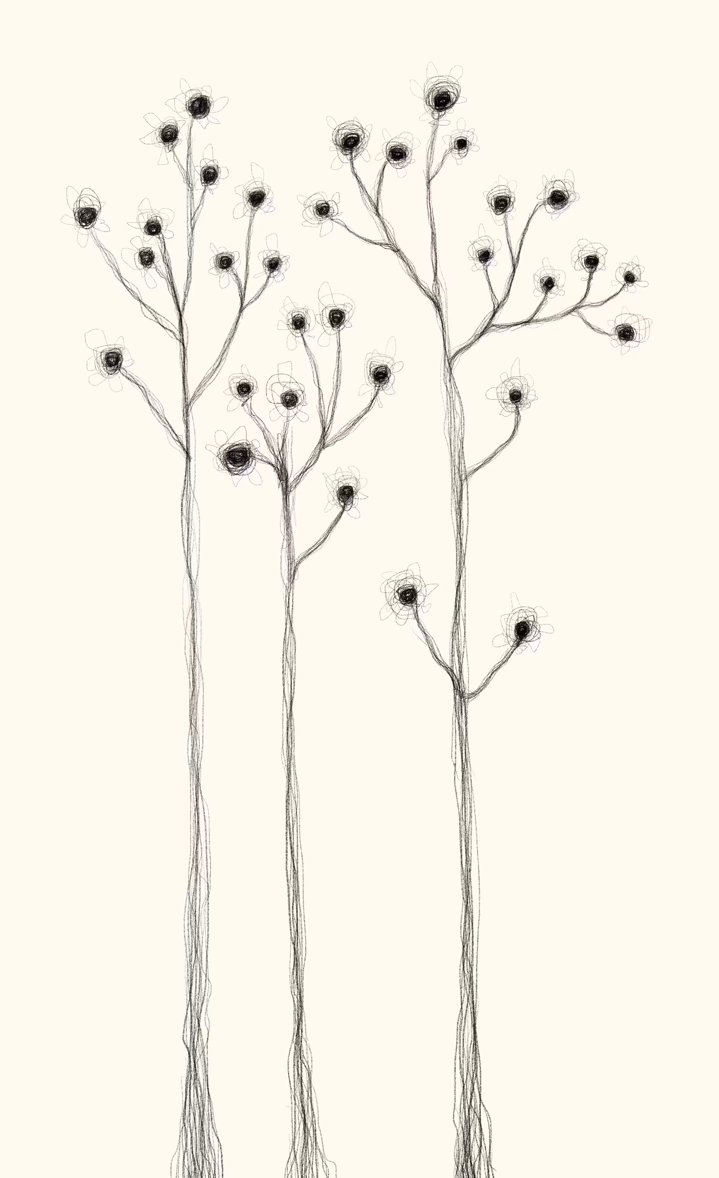 Minimal n.1 
