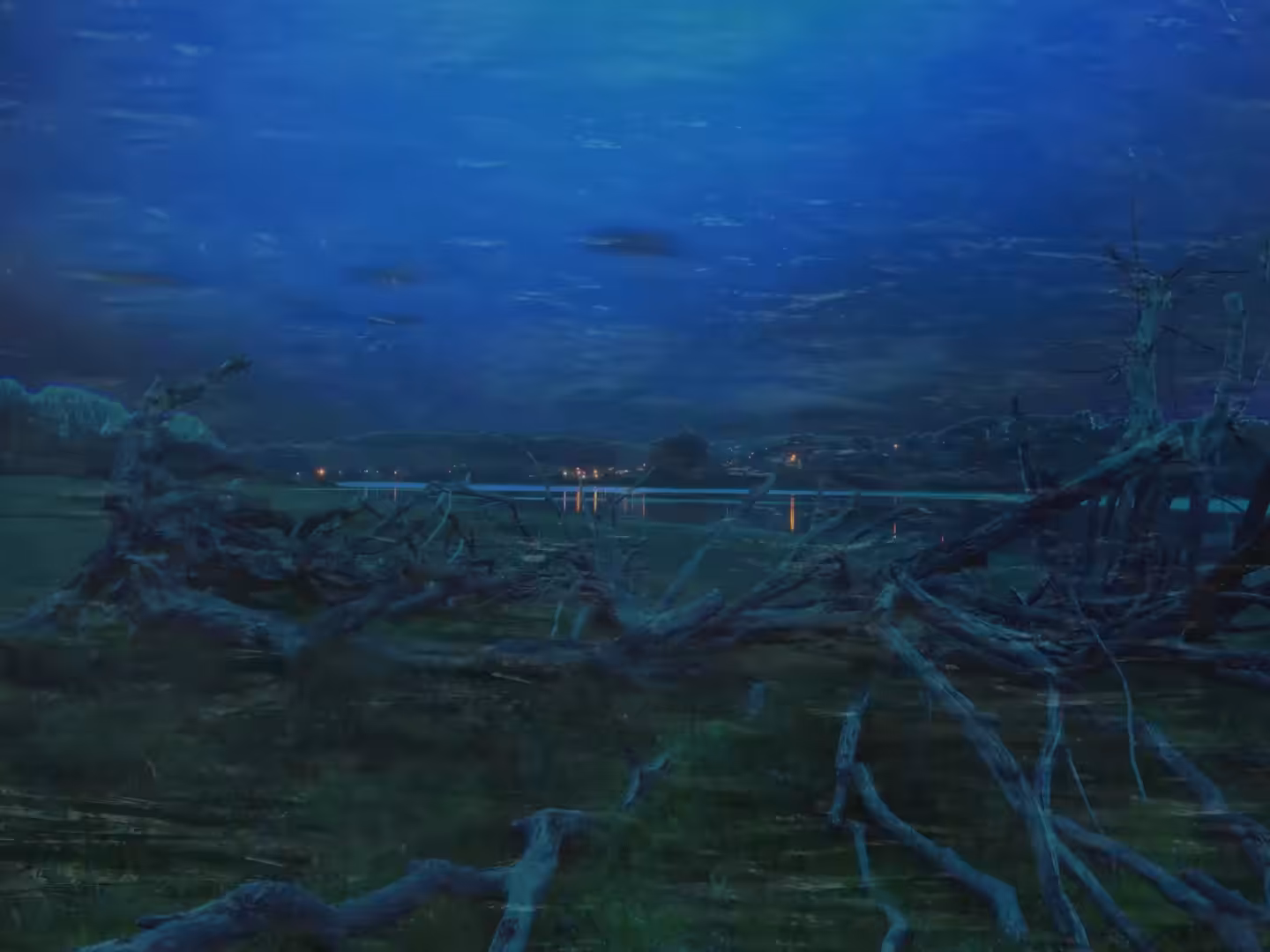 Naiad's Gaze