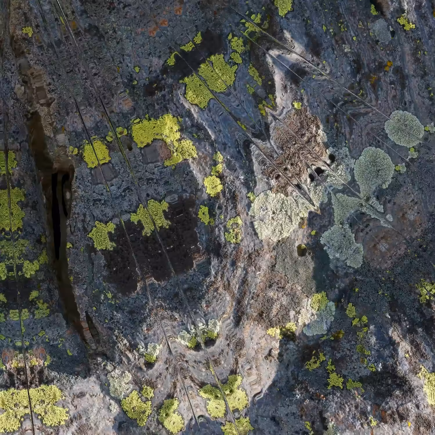 Textilographic Rock and Lichen, Yellowstone, #12