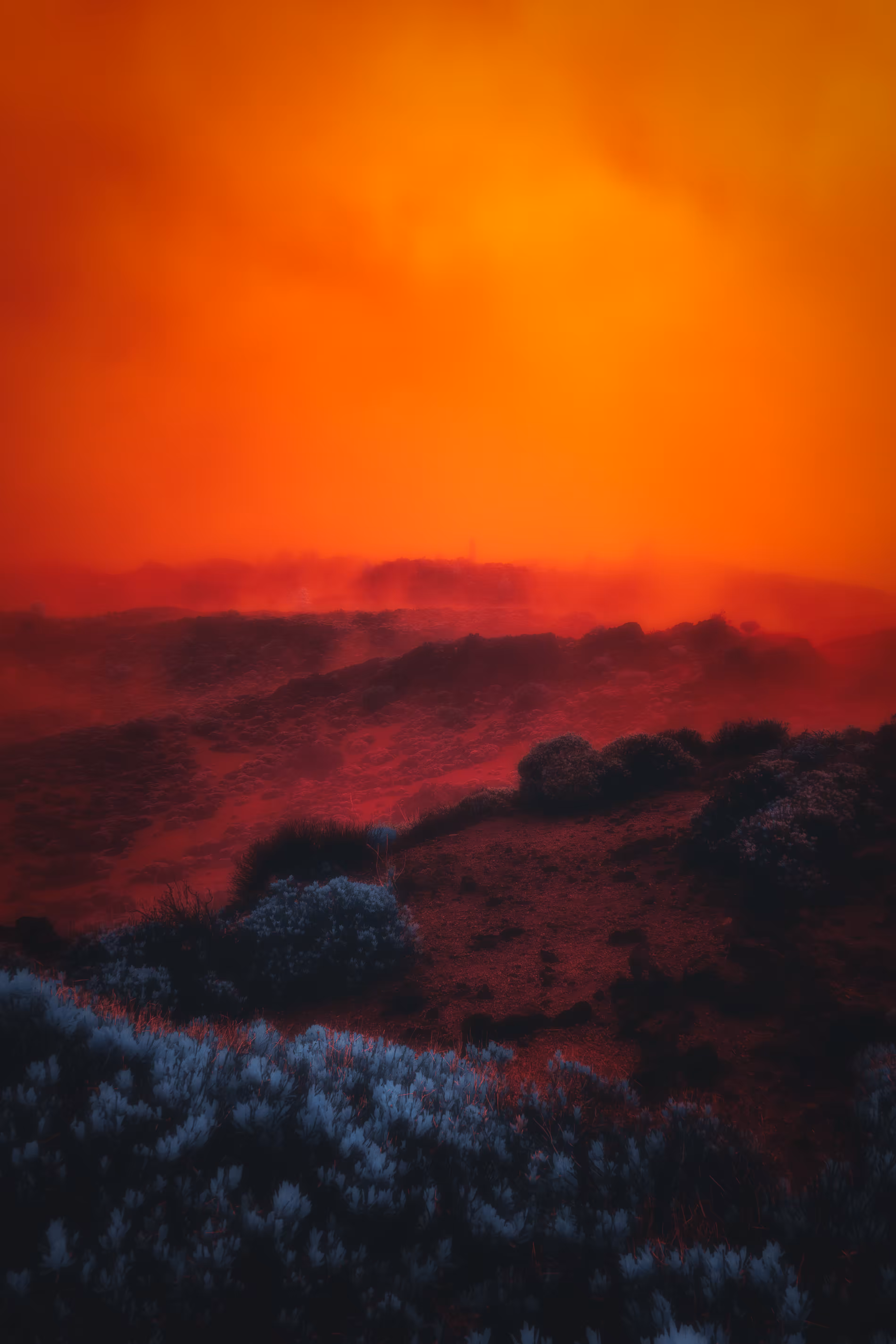 𝖛𝖔𝖎𝖉
