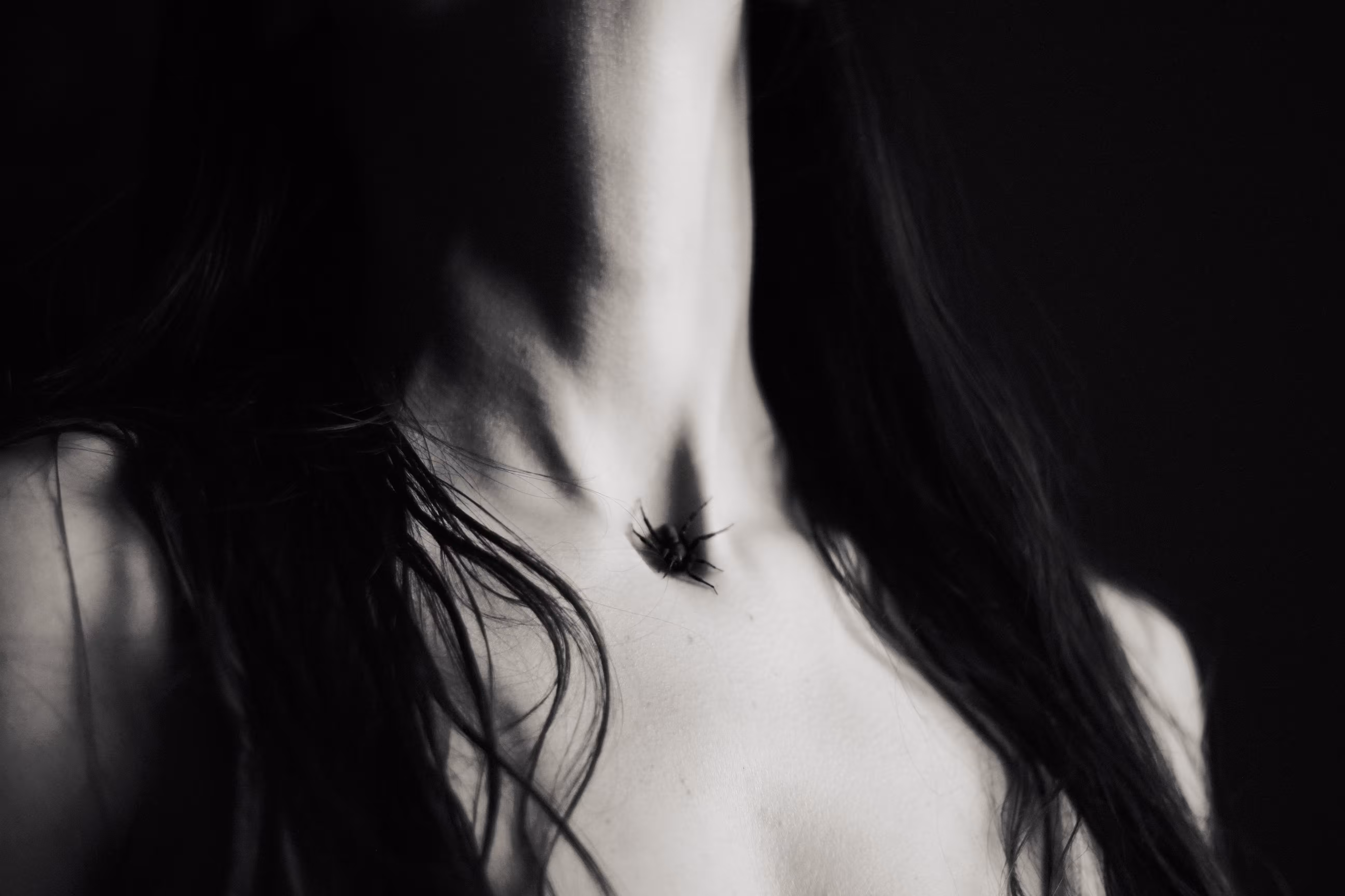 Araña