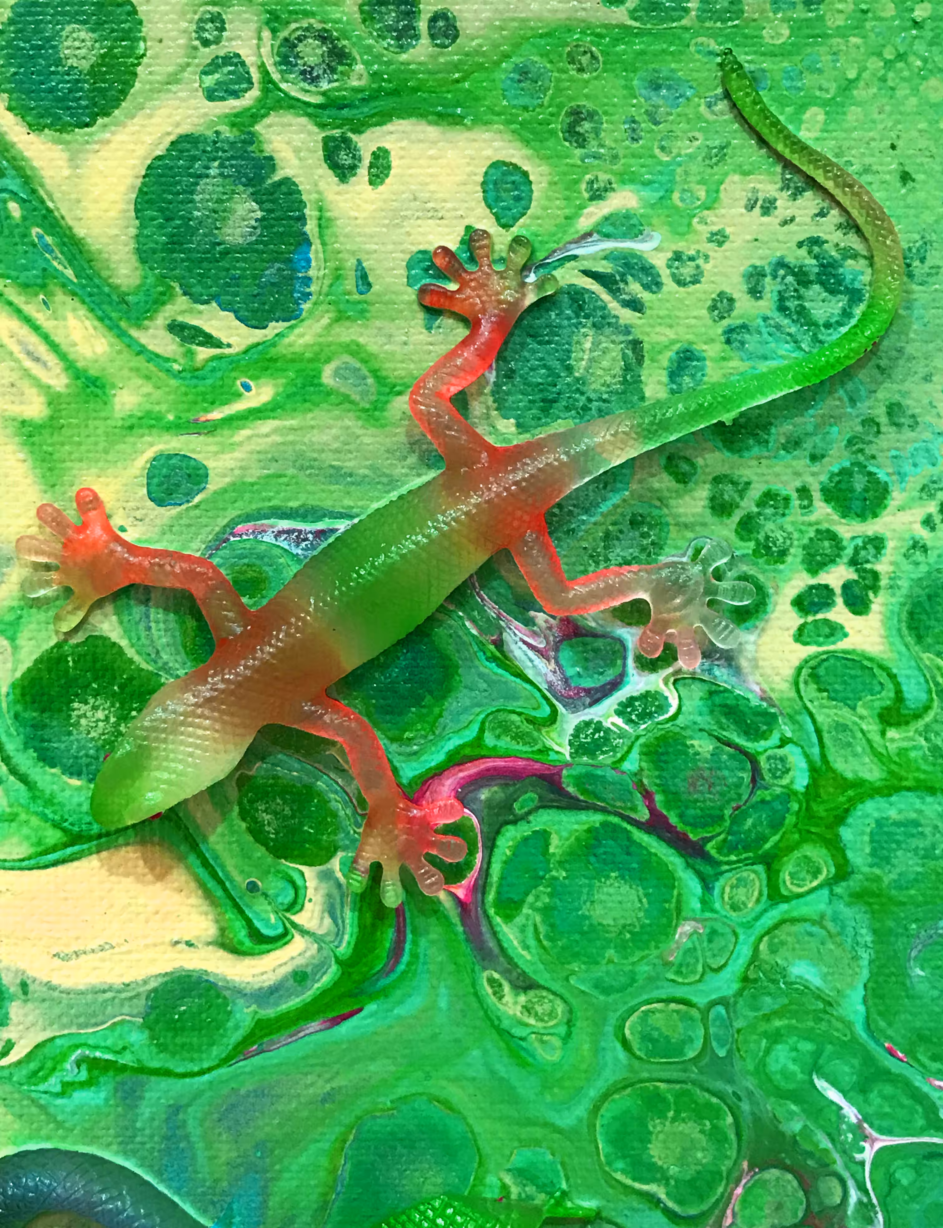 Chameleon