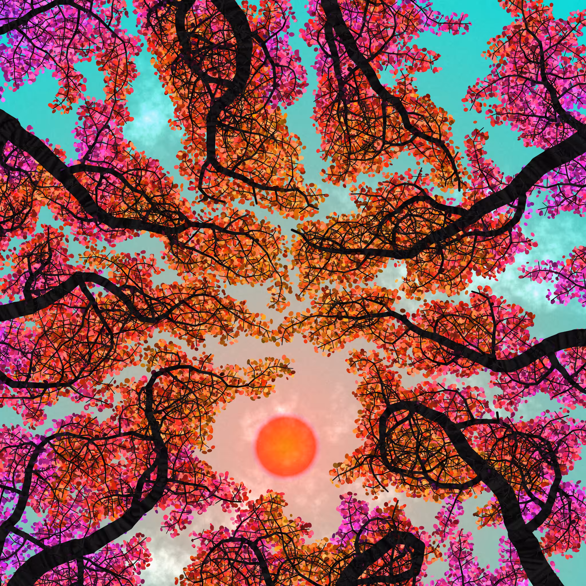 Tree Skyness #62