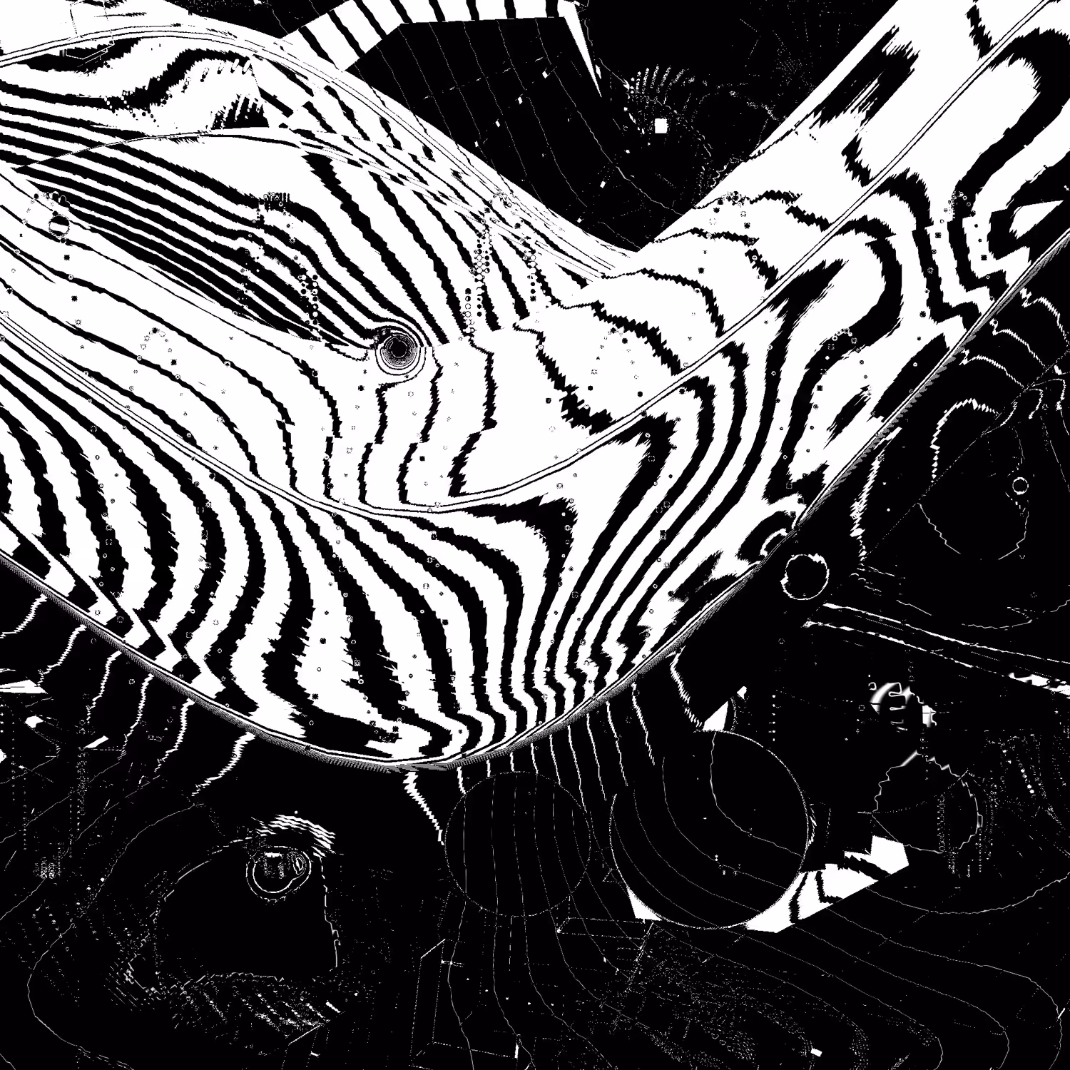 BEES in the "V01D" TRAP / untitled 006