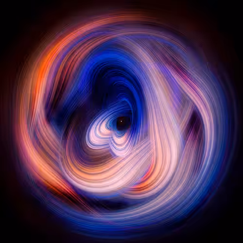 Orgenelle #17