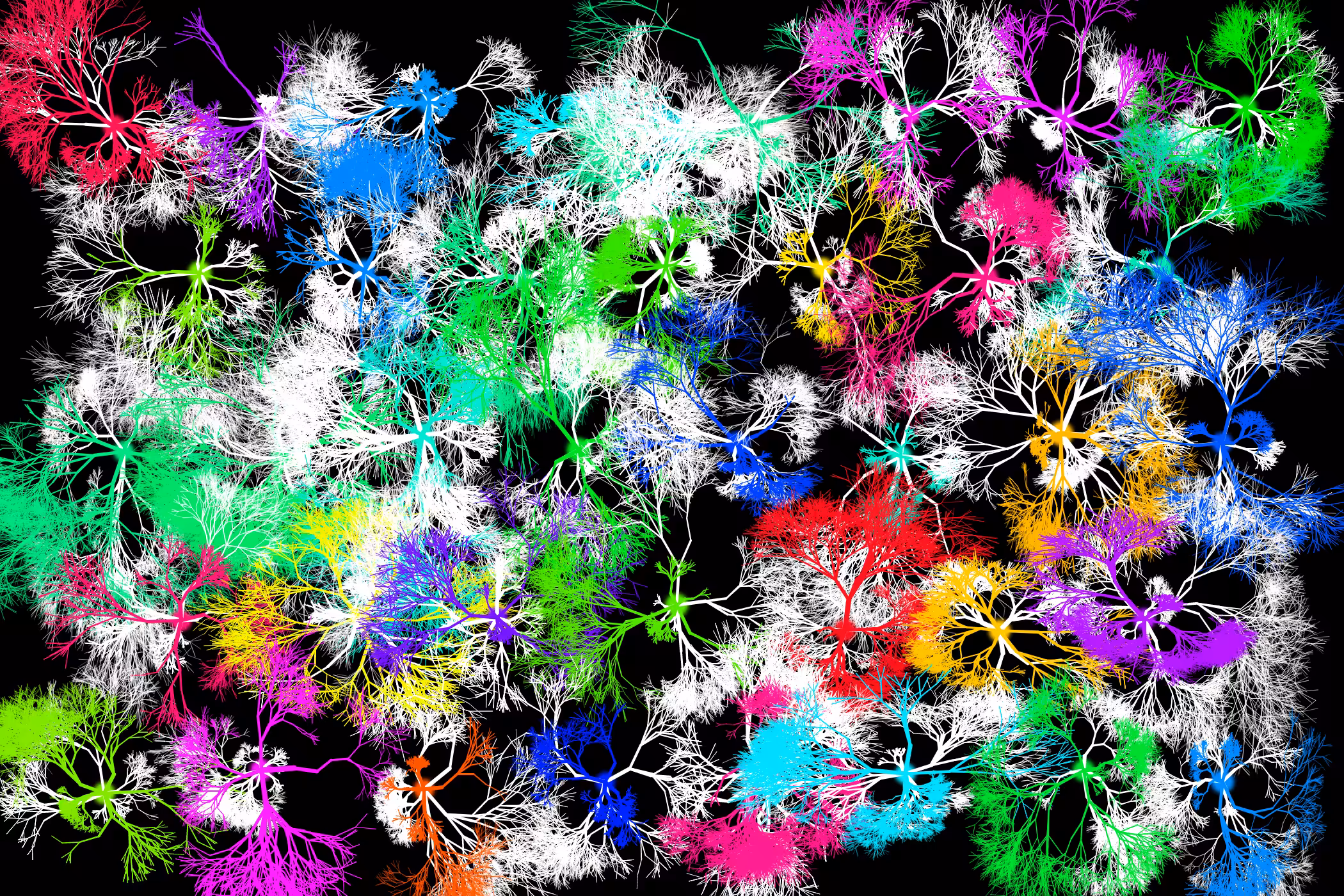 Phuz Tessellation #8