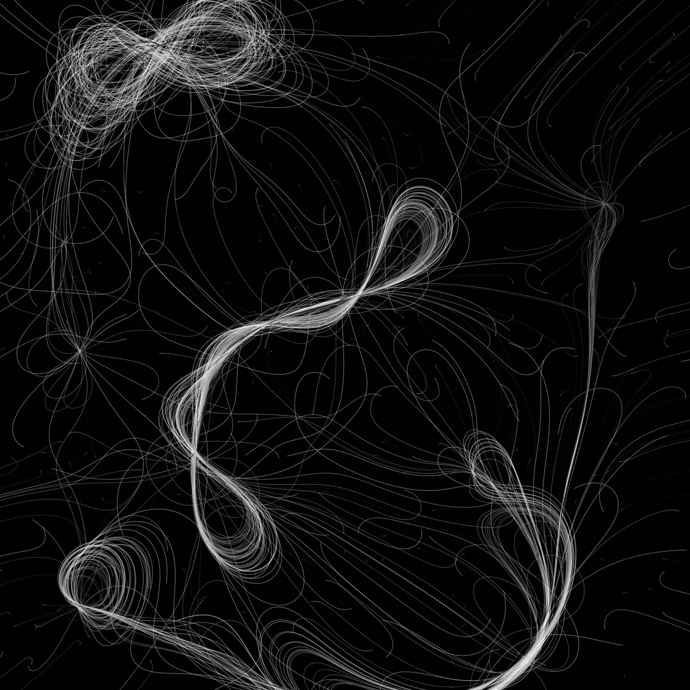 Phototaxis #818