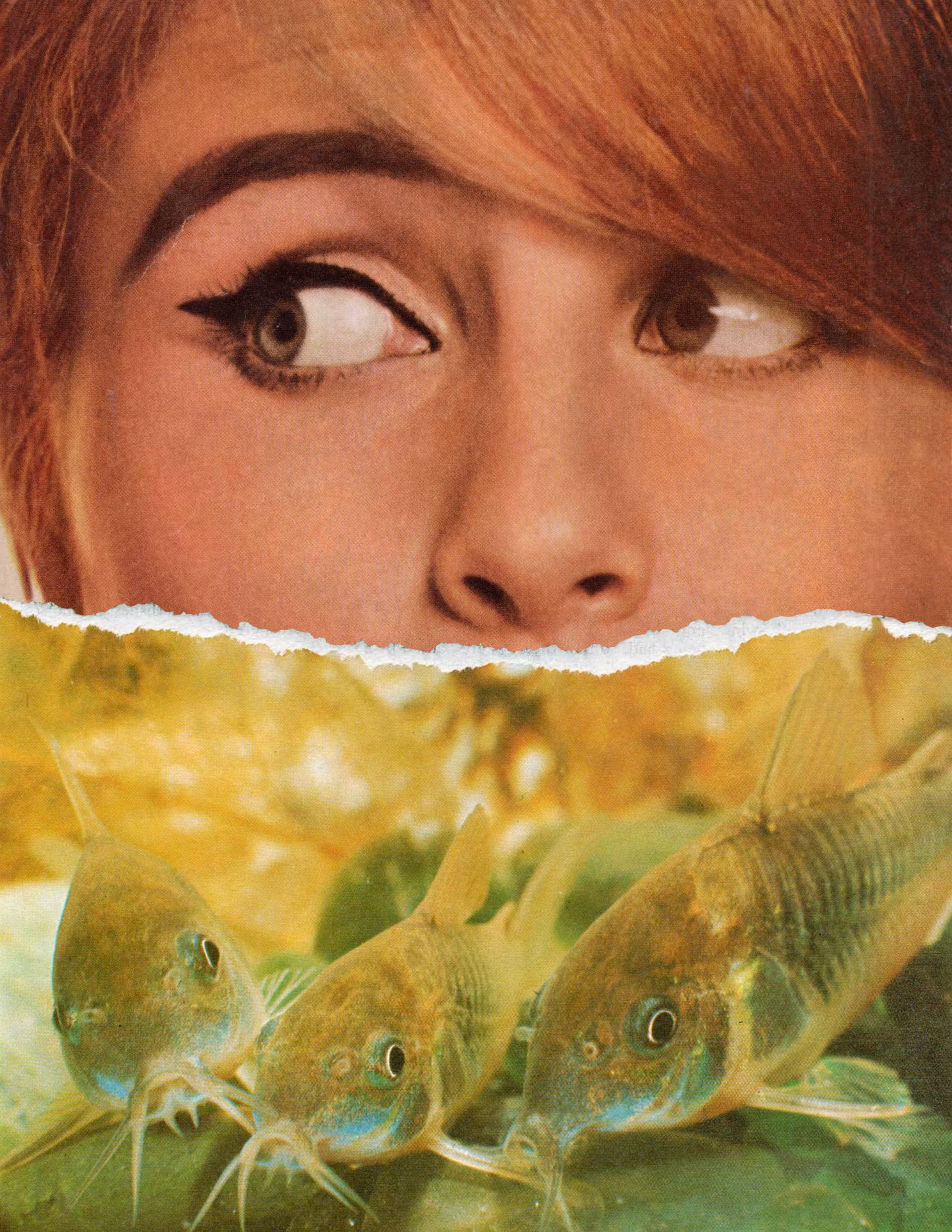 Catfished 