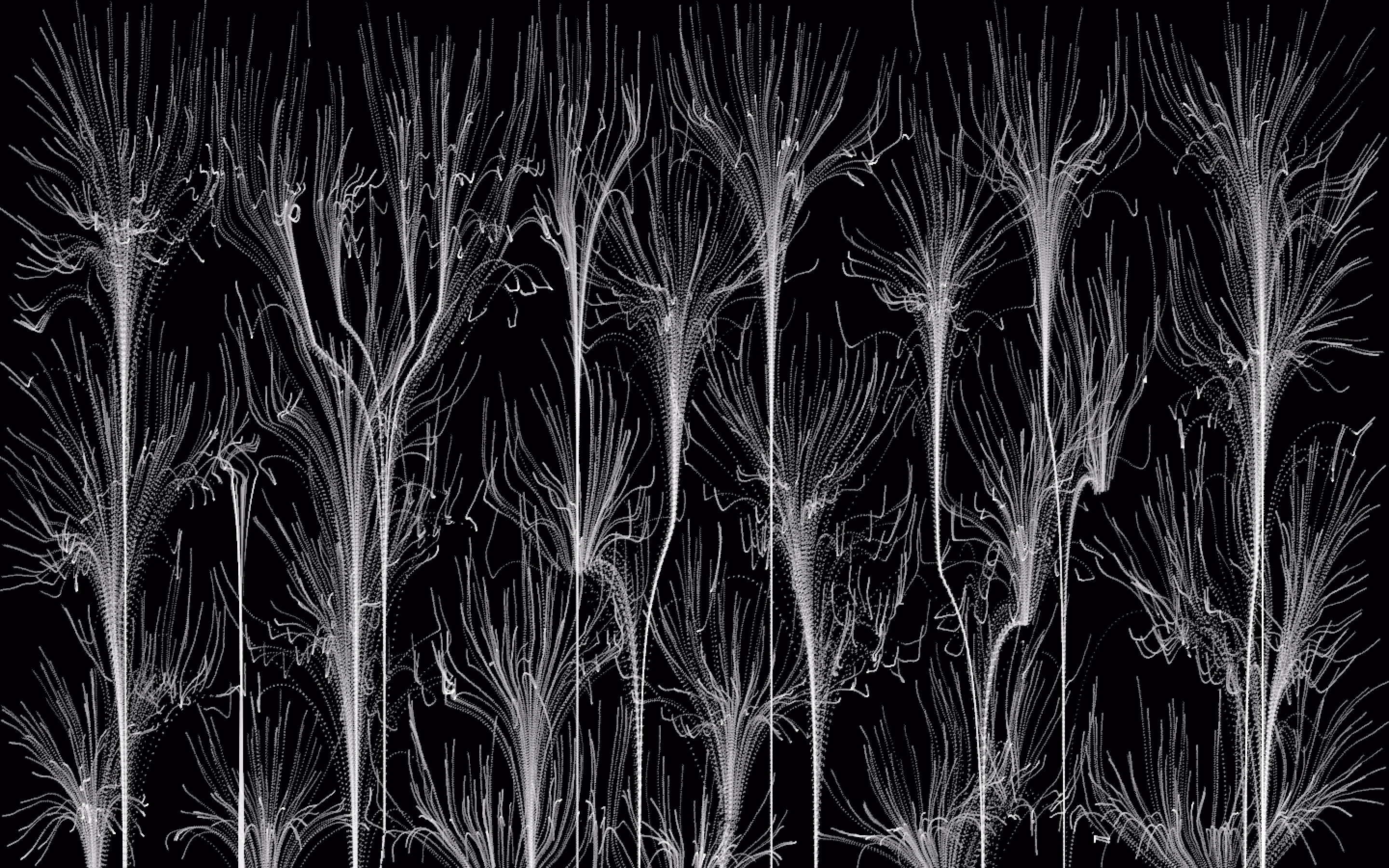 Attractors