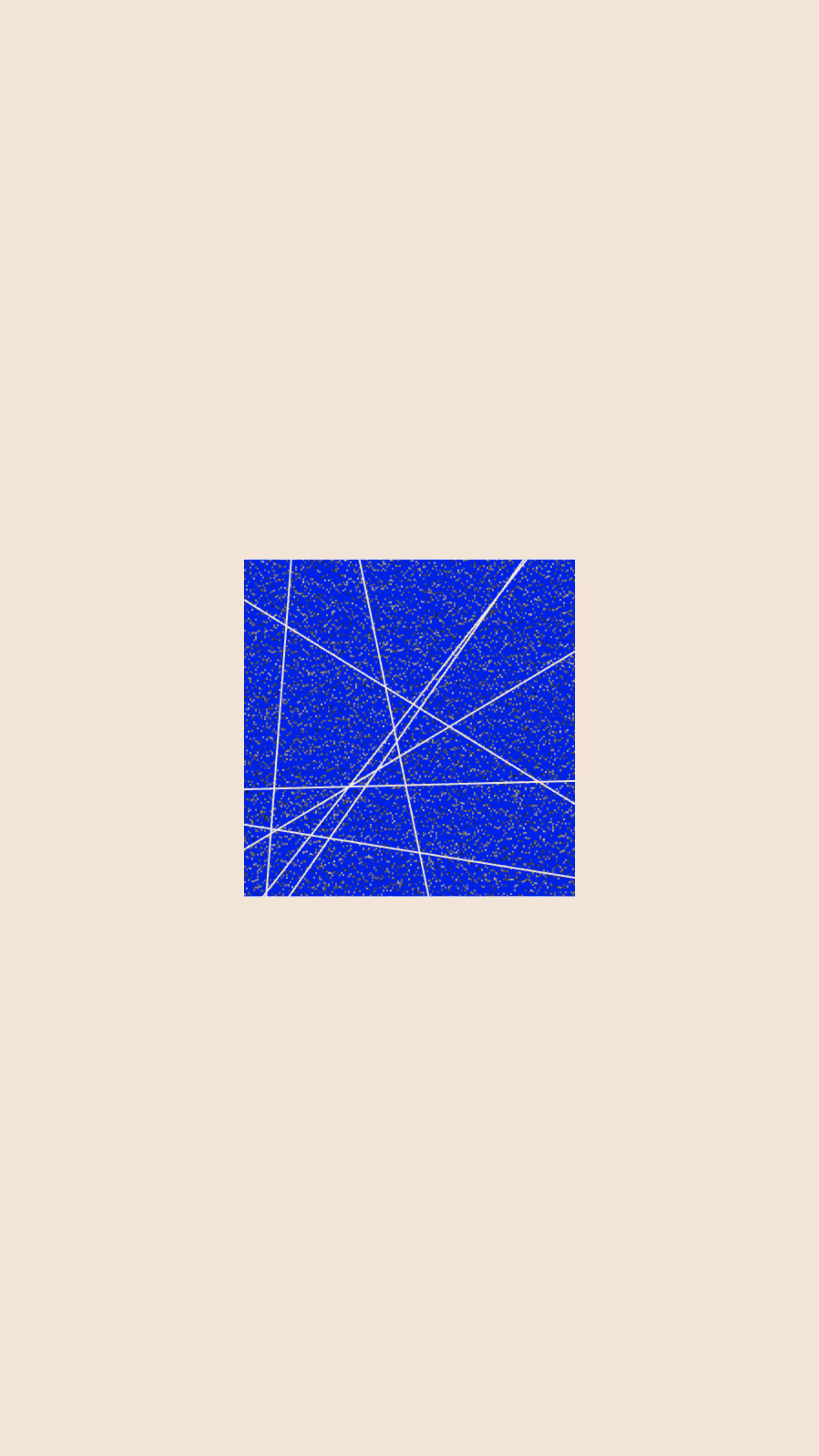 wt 004