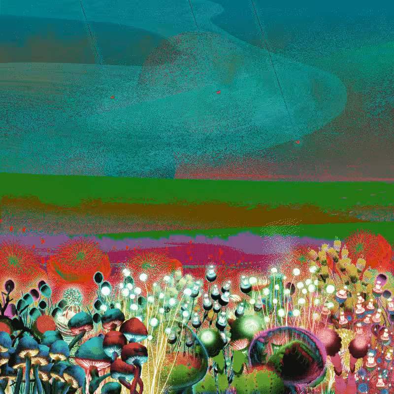 Onablo's Meadow #92