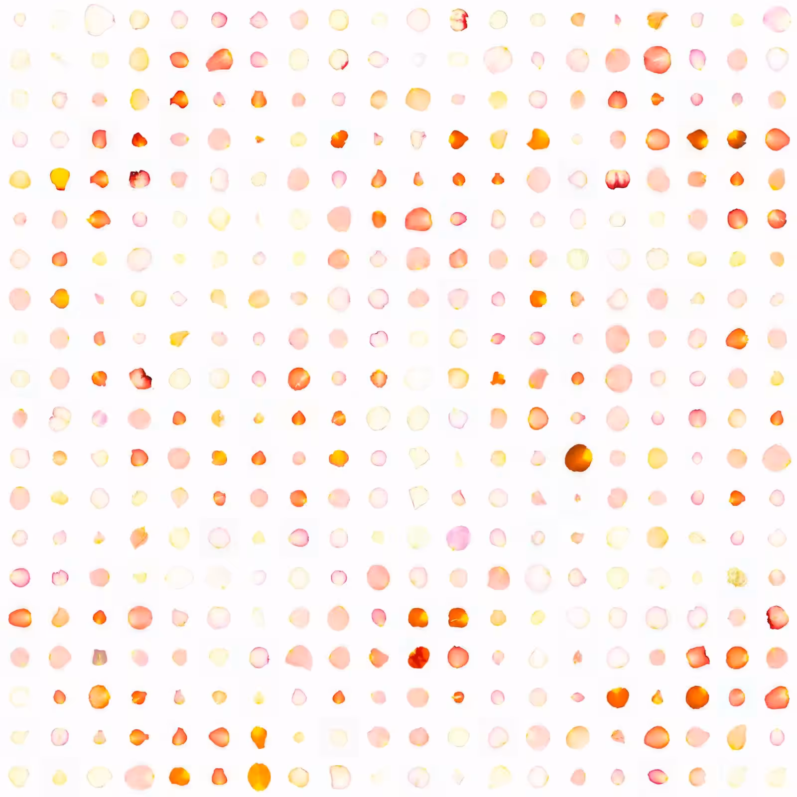 Infinite Petals 20x20#13037