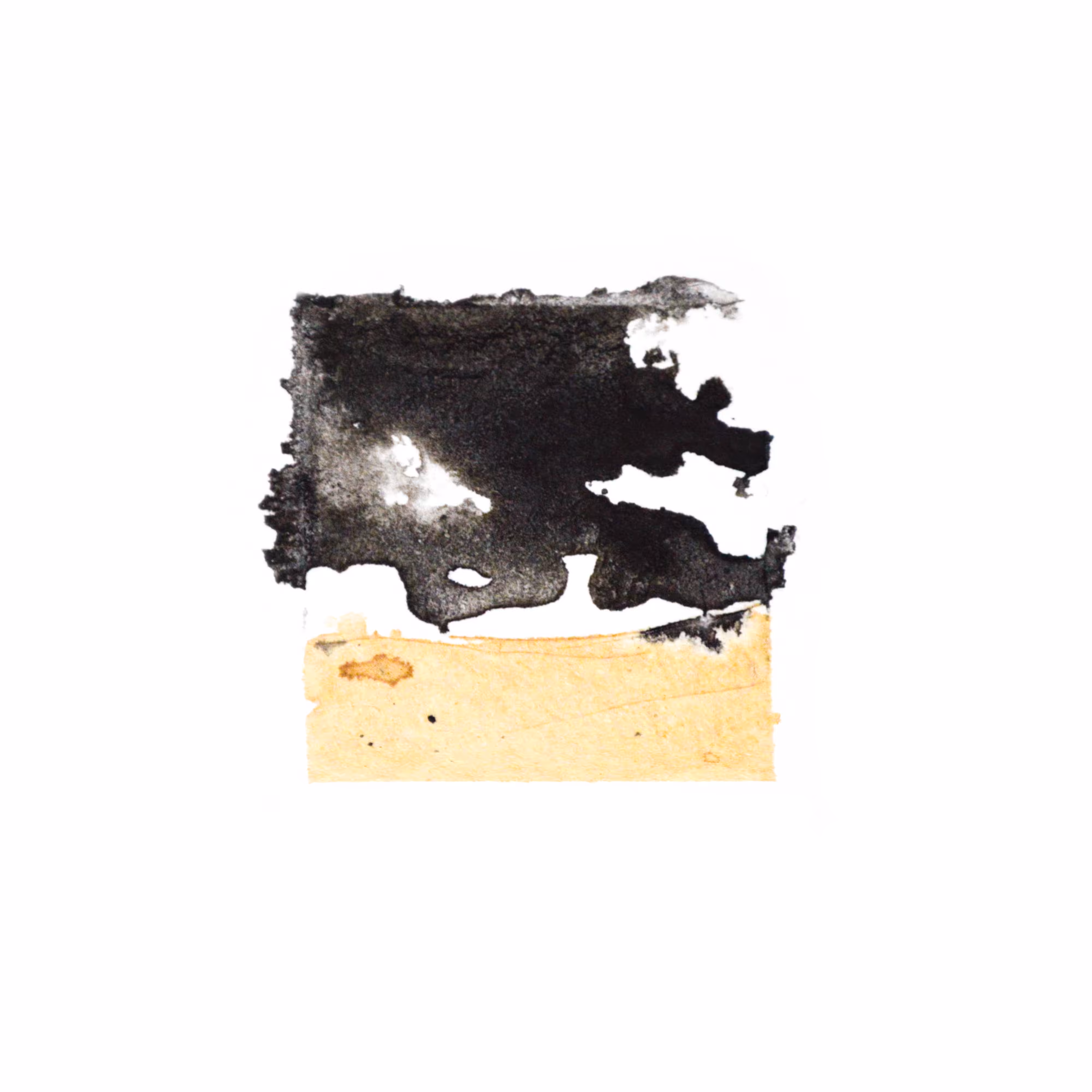 the Desert