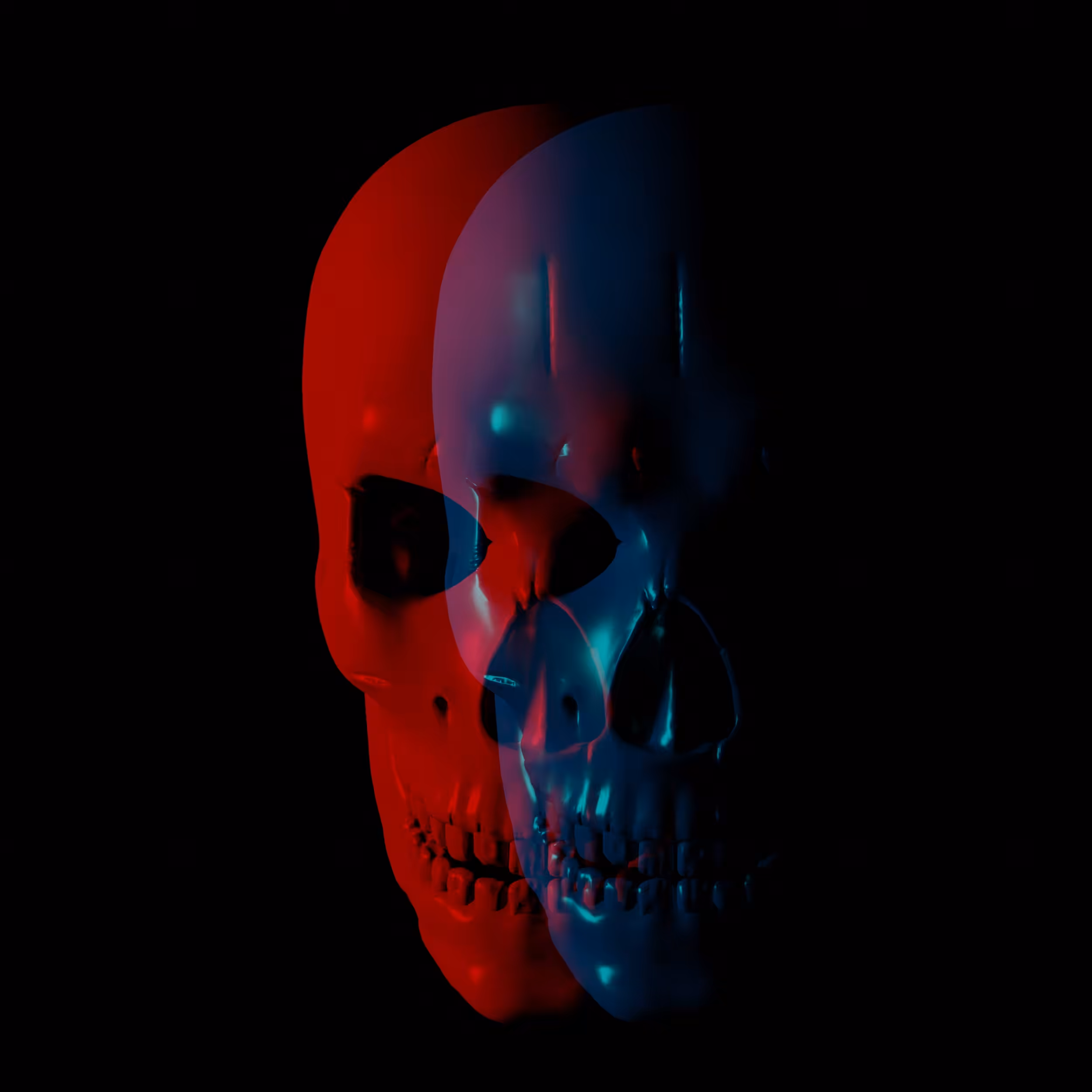 Stereoscopy Skull