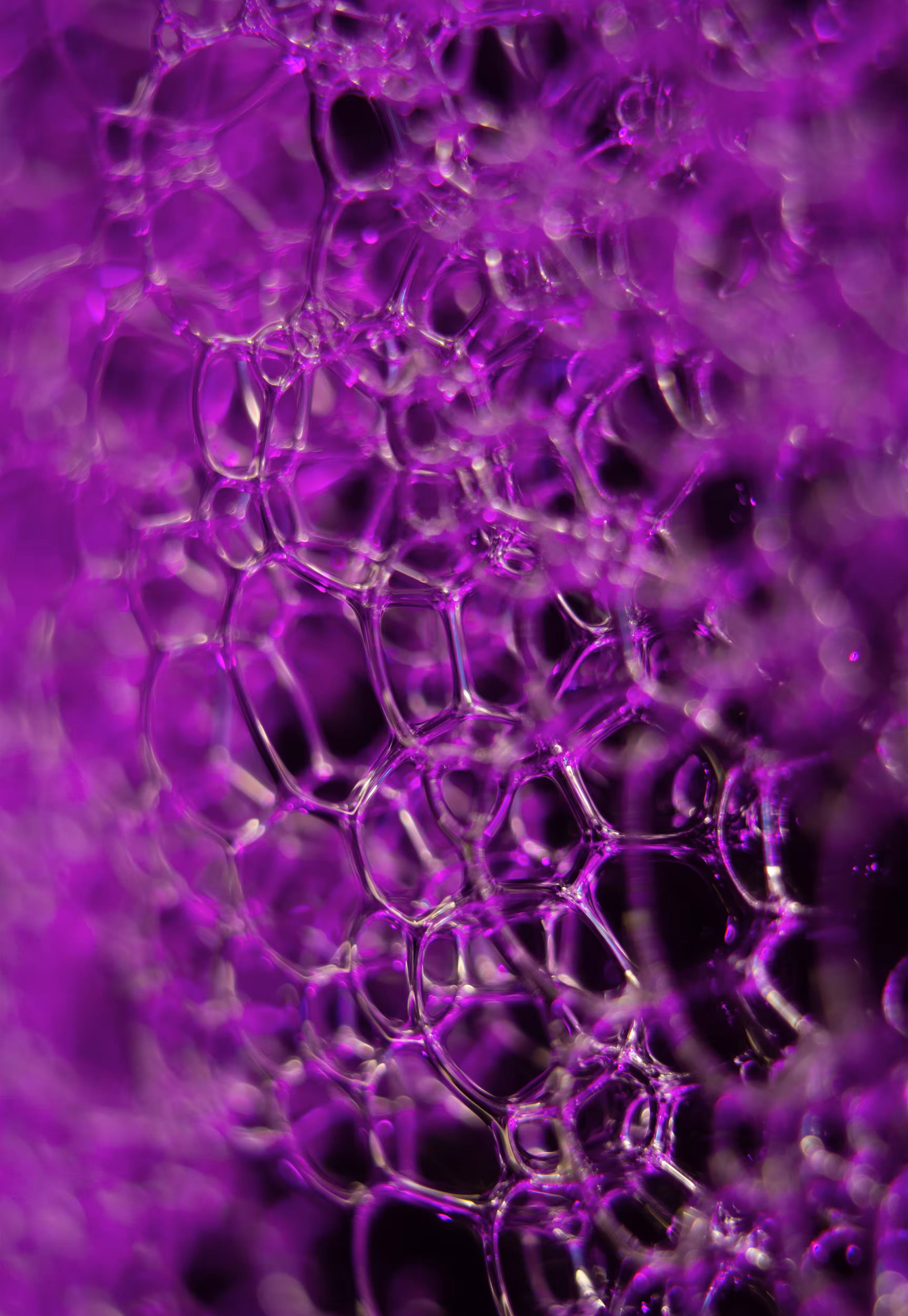 Abstract World of Soap Bubbles: #99 Bubbles