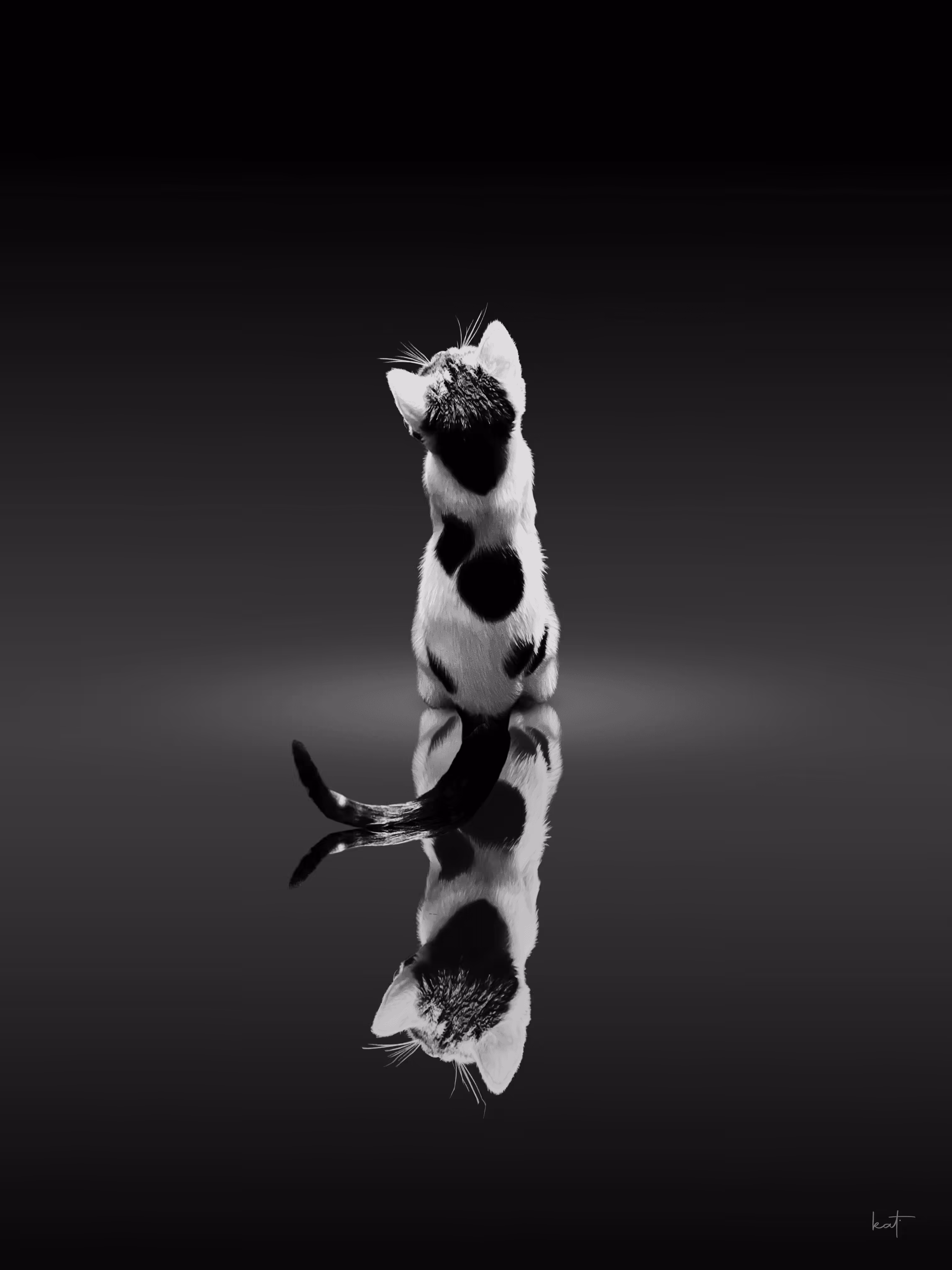 Mirrored