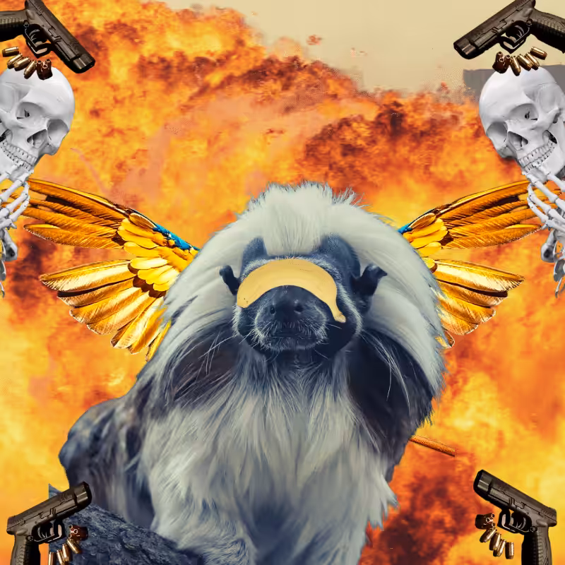Blinded apes #52