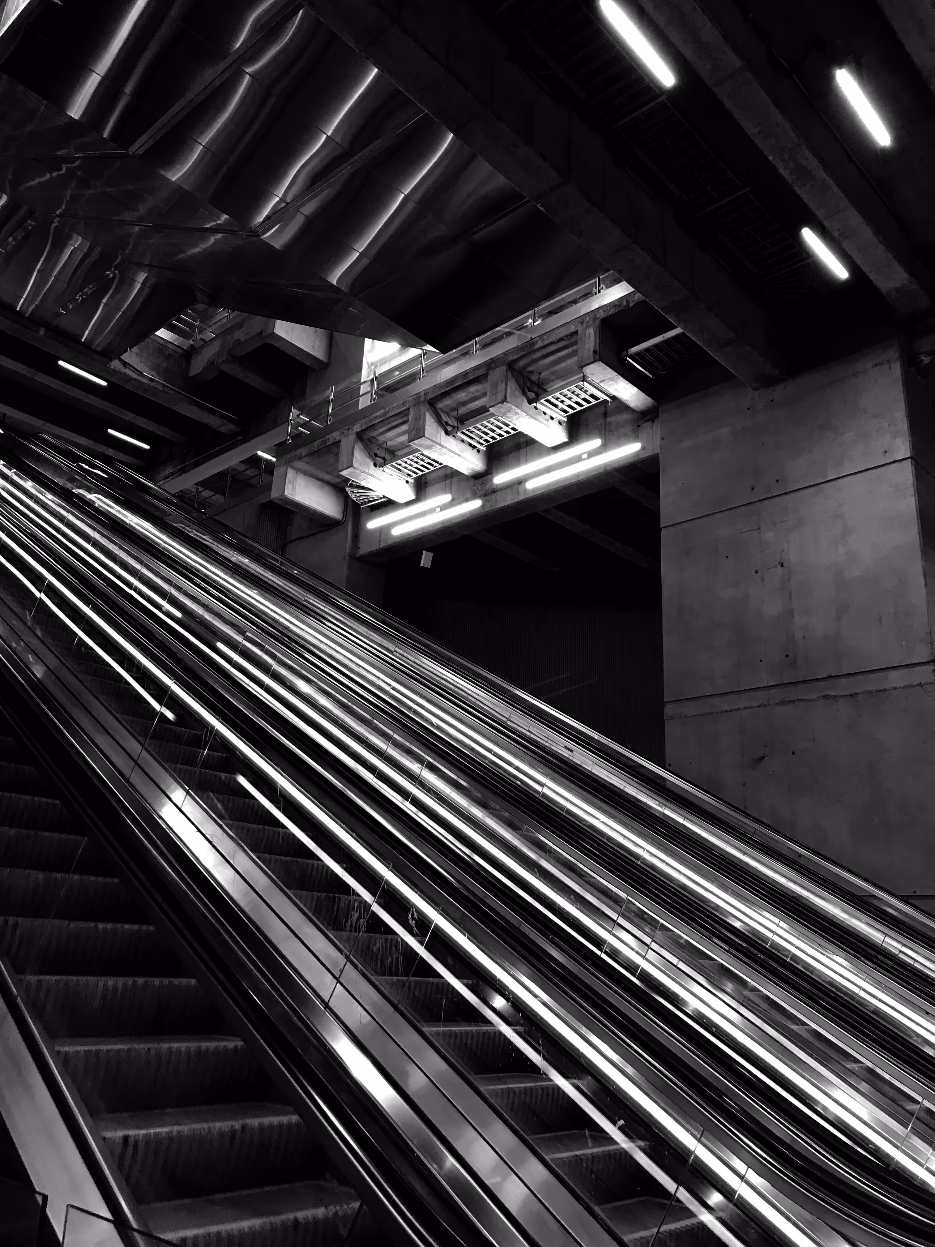 Linea 6