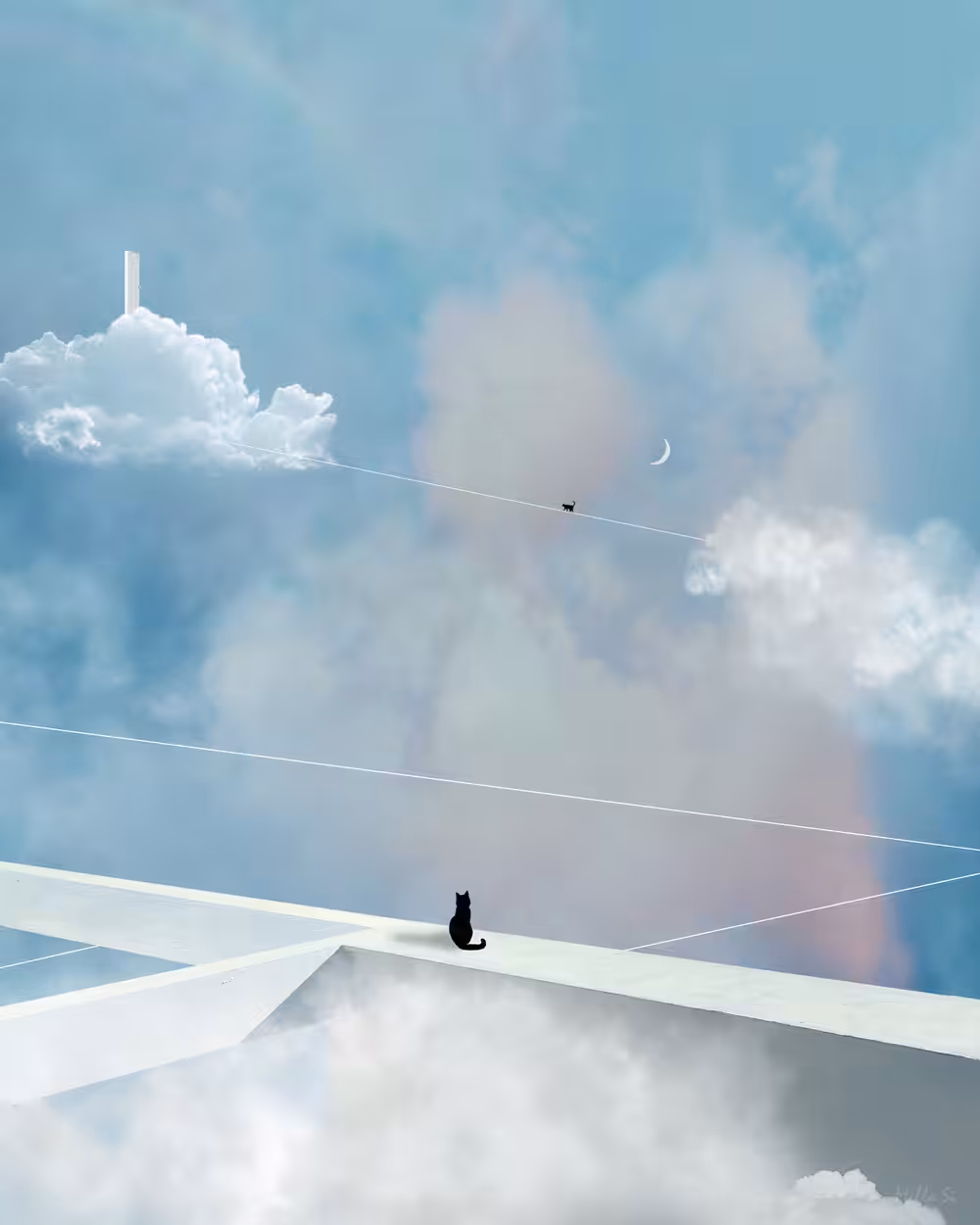 A walk through the clouds ☁