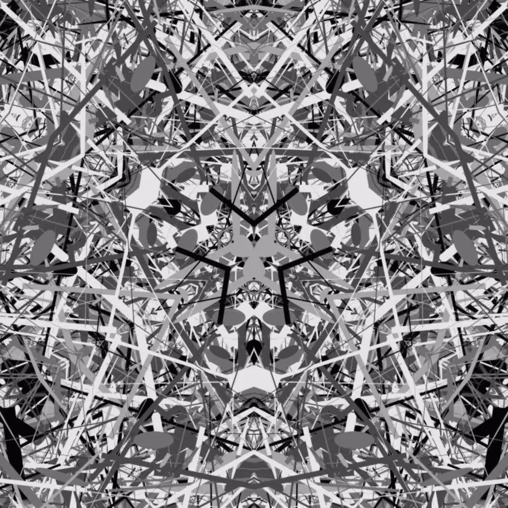 BW 3 mirror #2