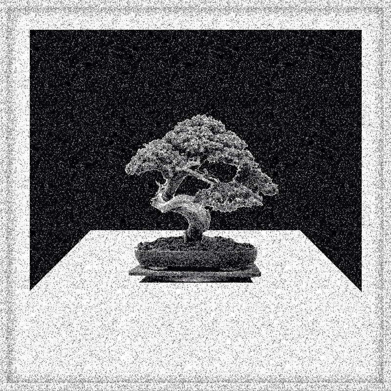 Bonsai Bonanza #201