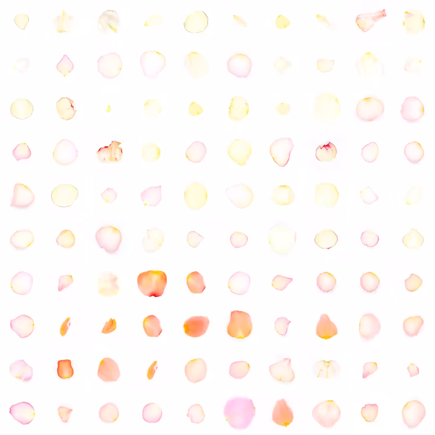 Infinite Petals 10x10#884