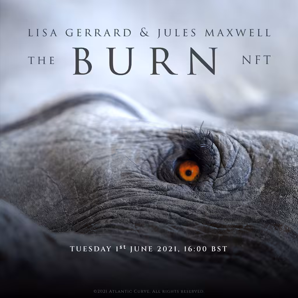 THE BURN NFT - Release announcement