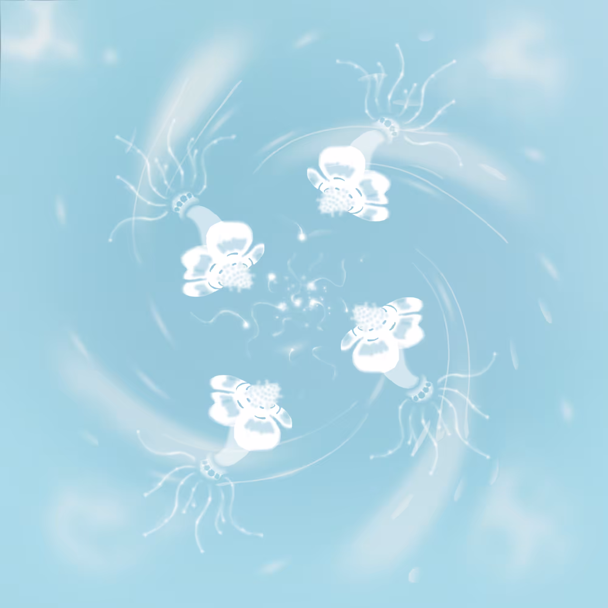 fog in the sky #3
