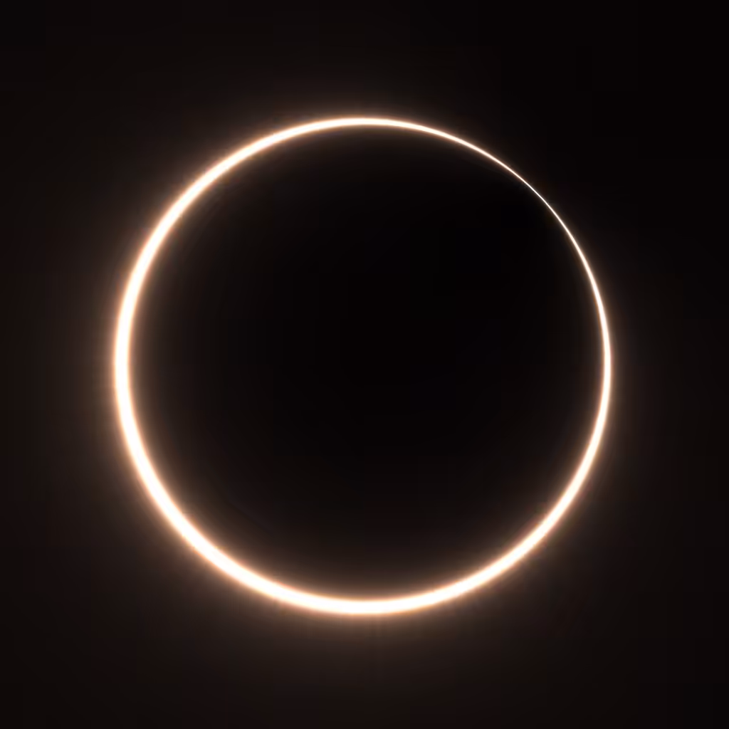 Totality #55