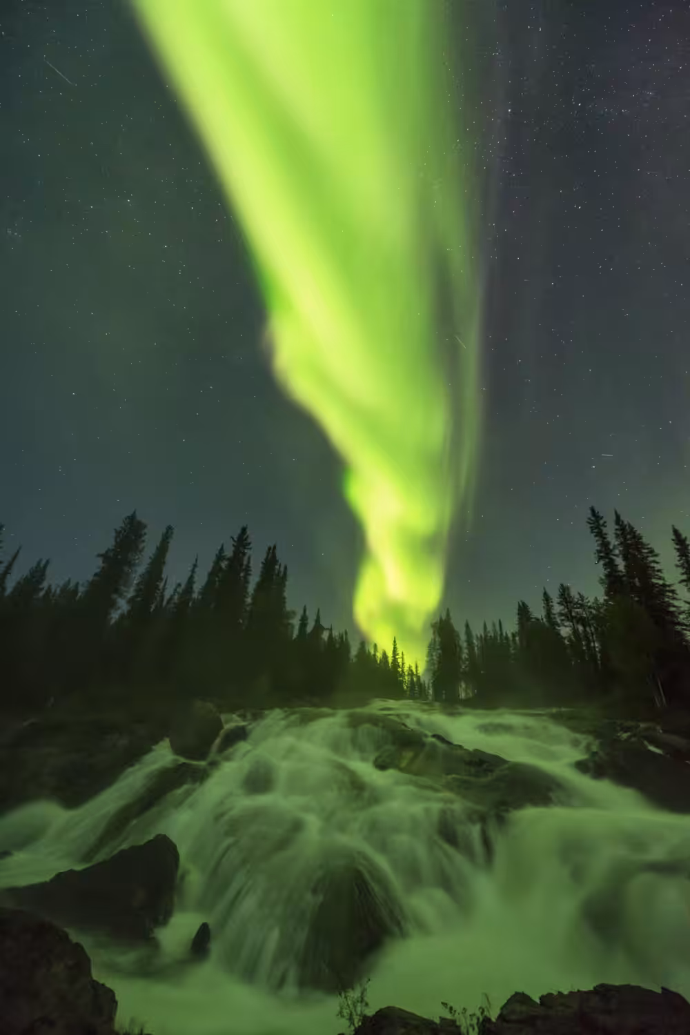 Arctic Lights
