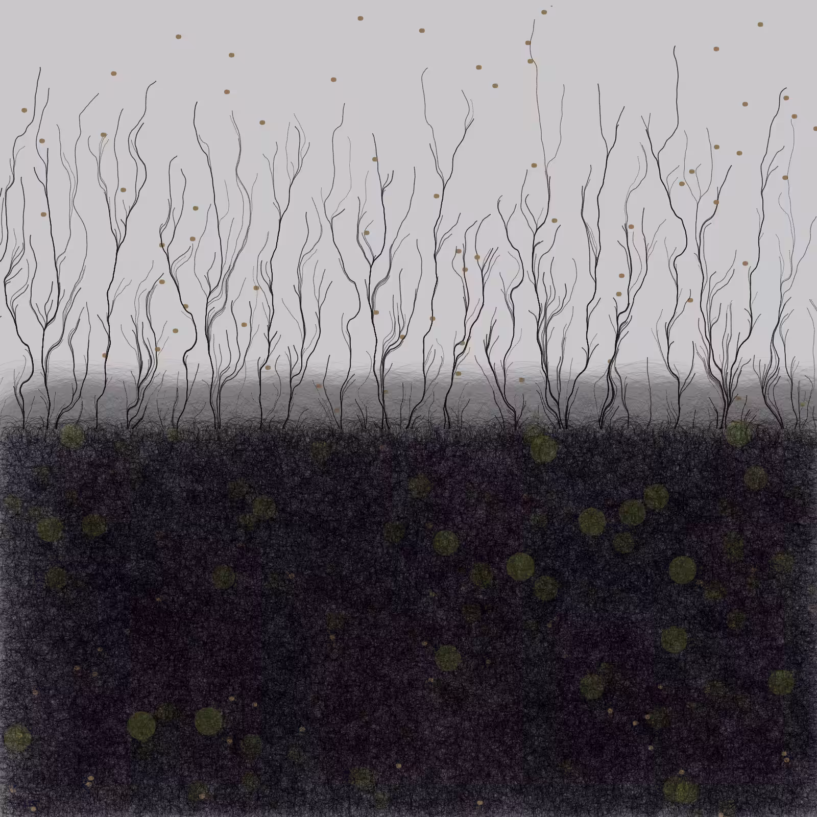 branches #2