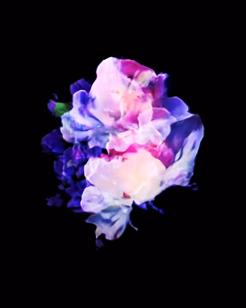 Bloom 02