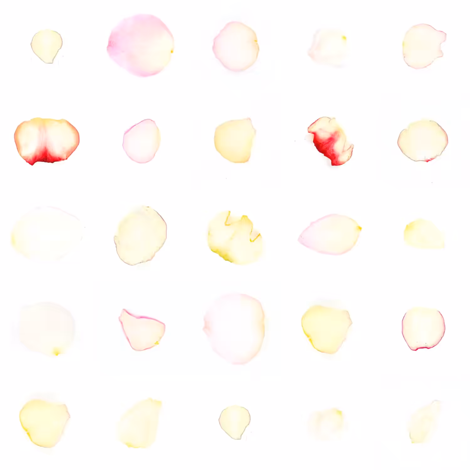 Infinite Petals 5x5#25594