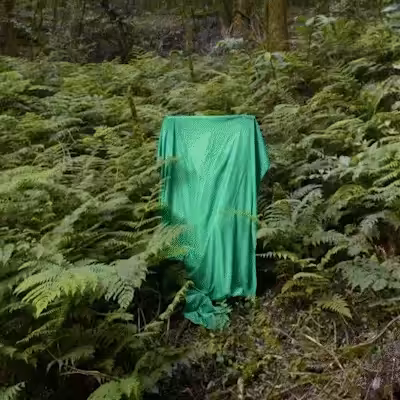 Disappearance Protocols