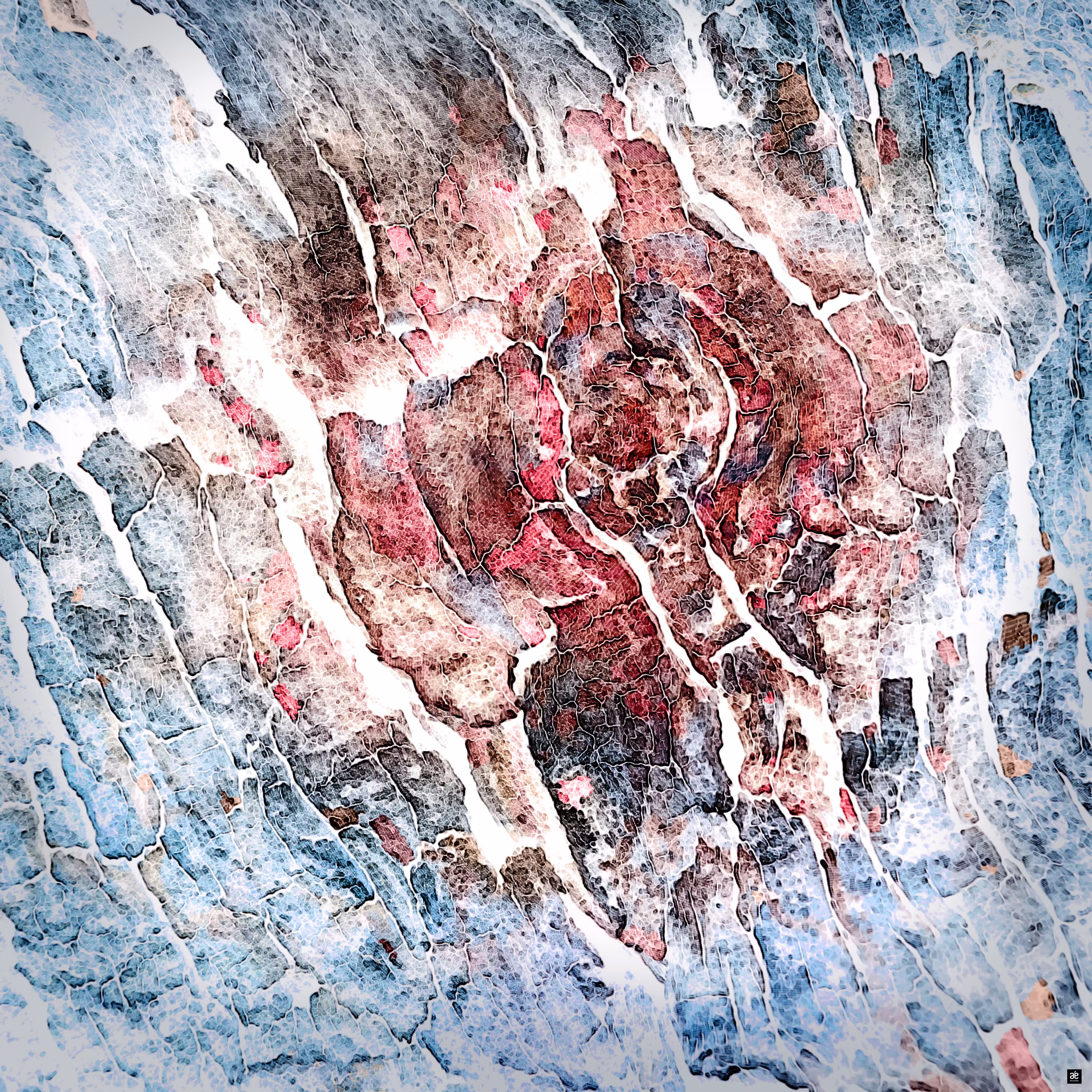 FROZEN ROSE