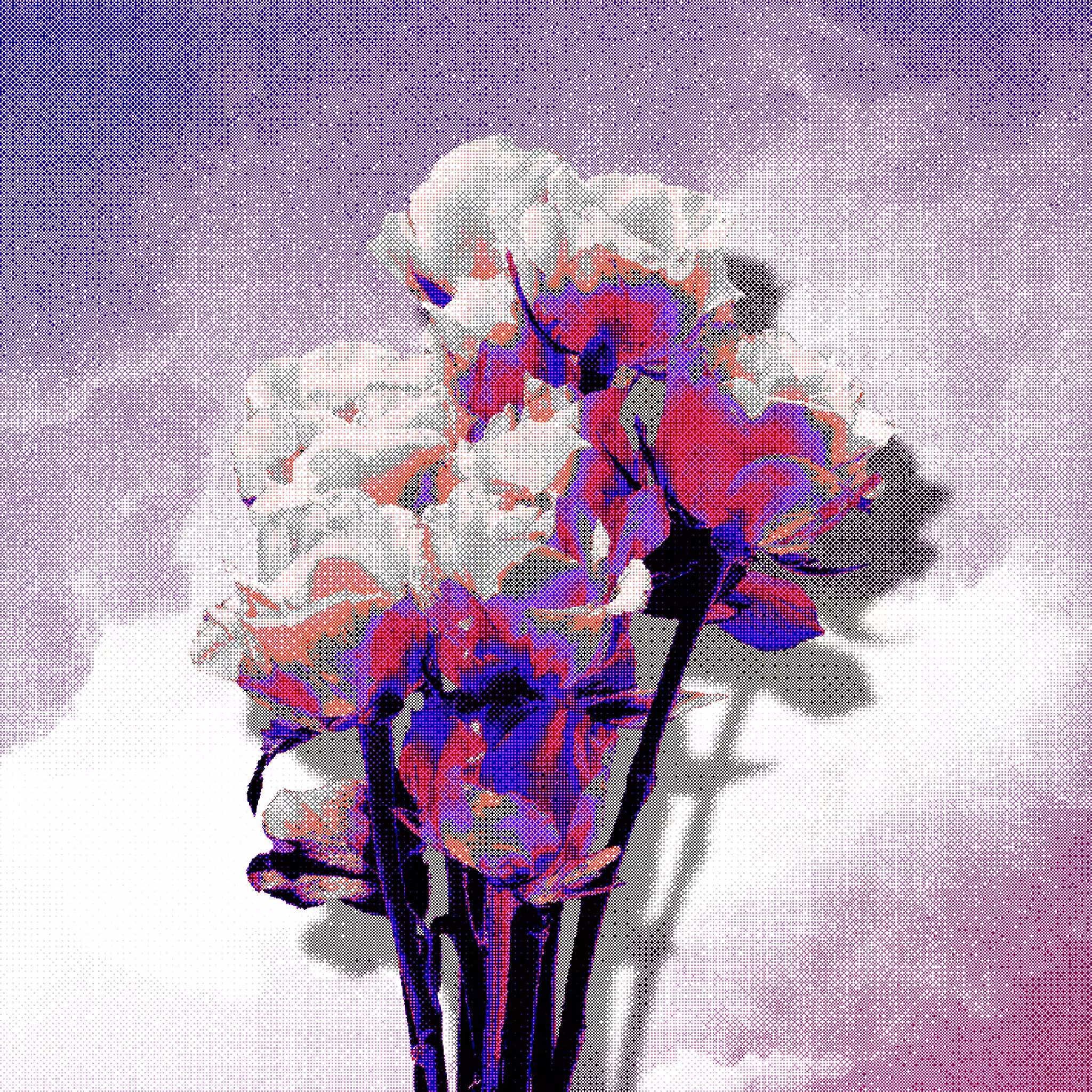 favorite flower