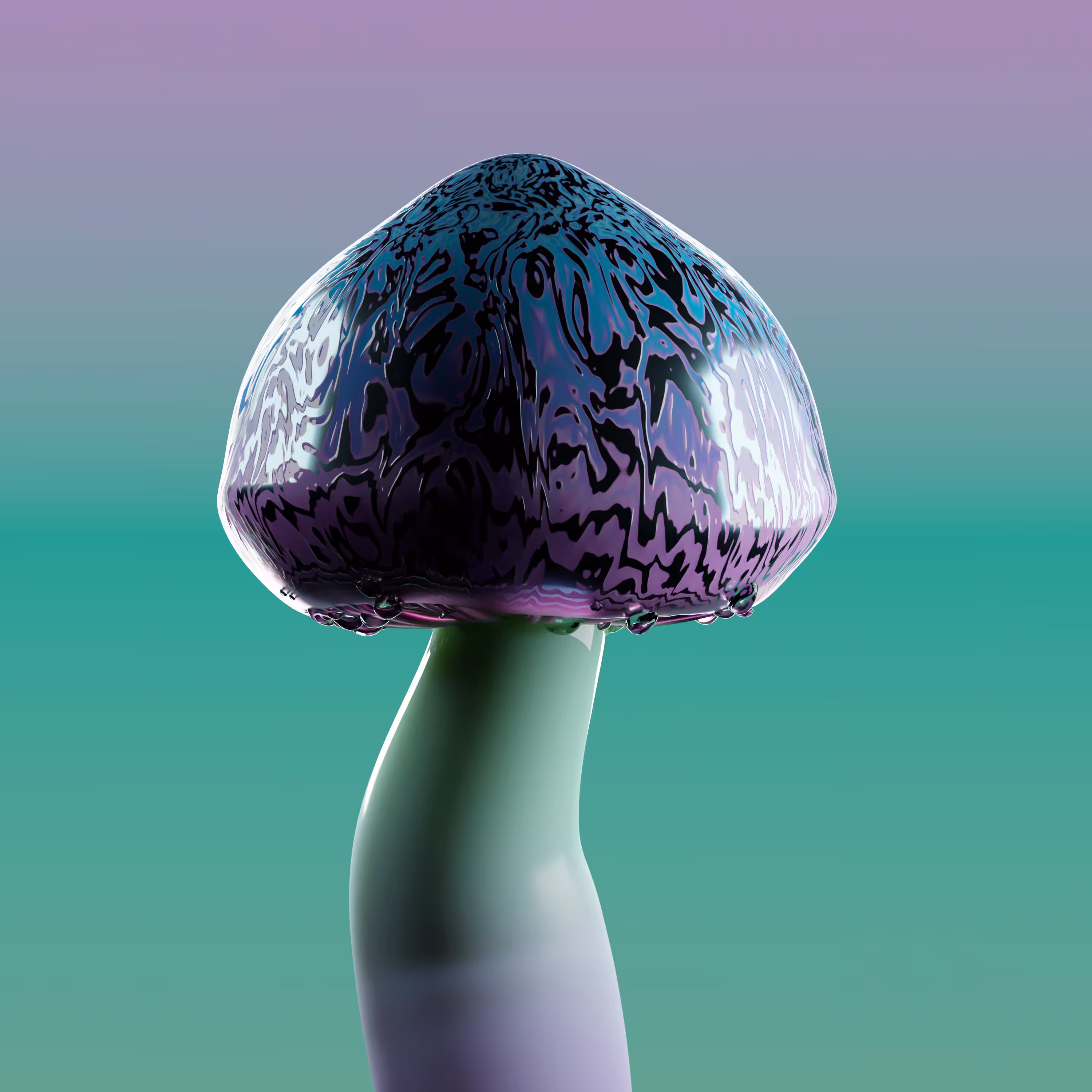 Spring Snail