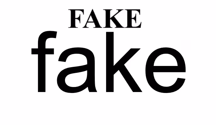 FAKE fake